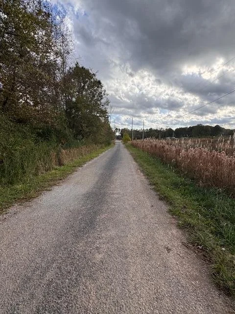 IMG_0392.jpeg