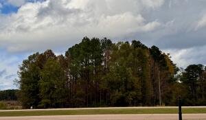 Hwy 82 &amp; College St, Mathiston, Ms 39752