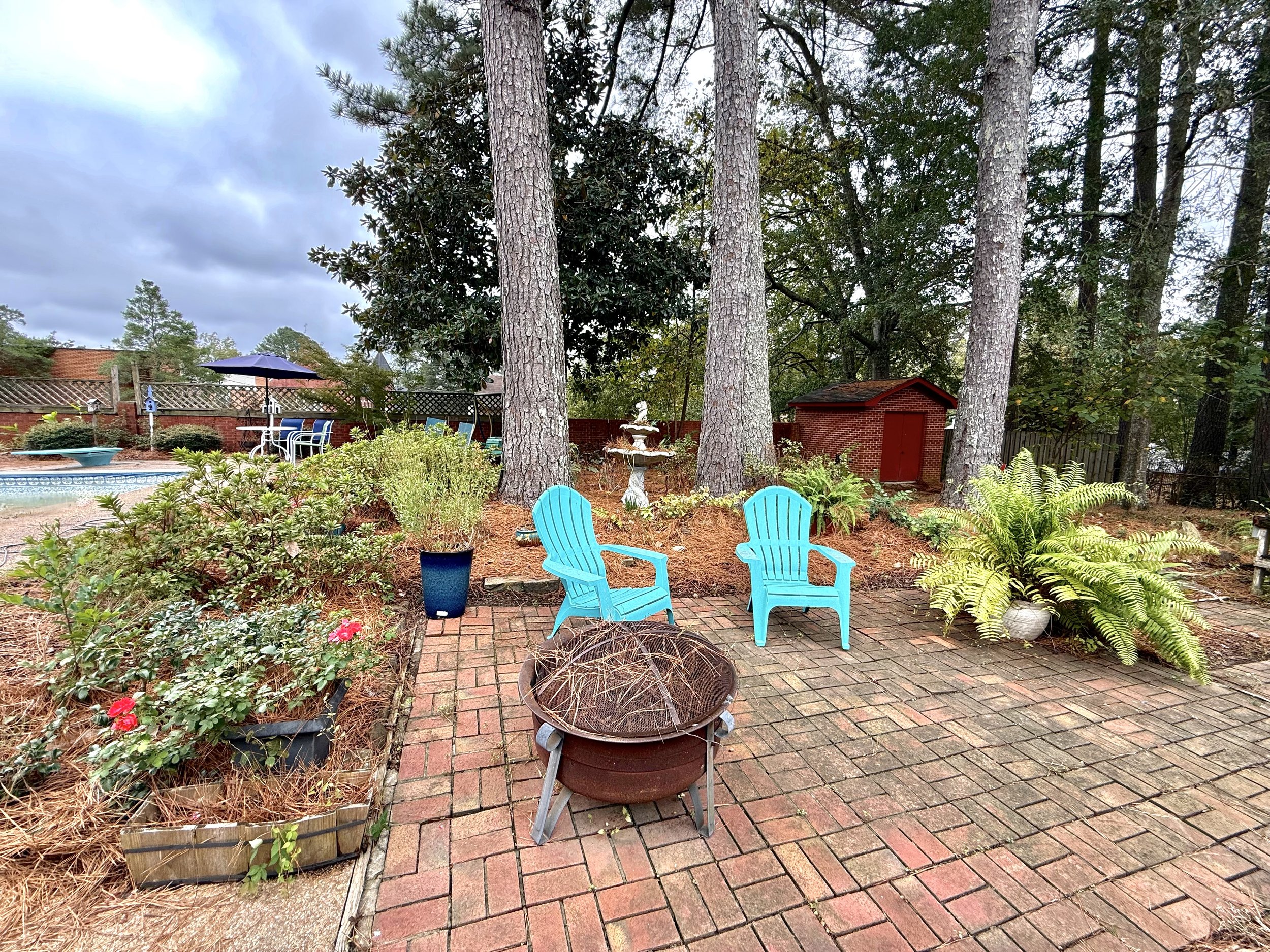 Back yard (3).jpeg