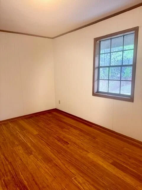20251104164115632083000000-o.jpg