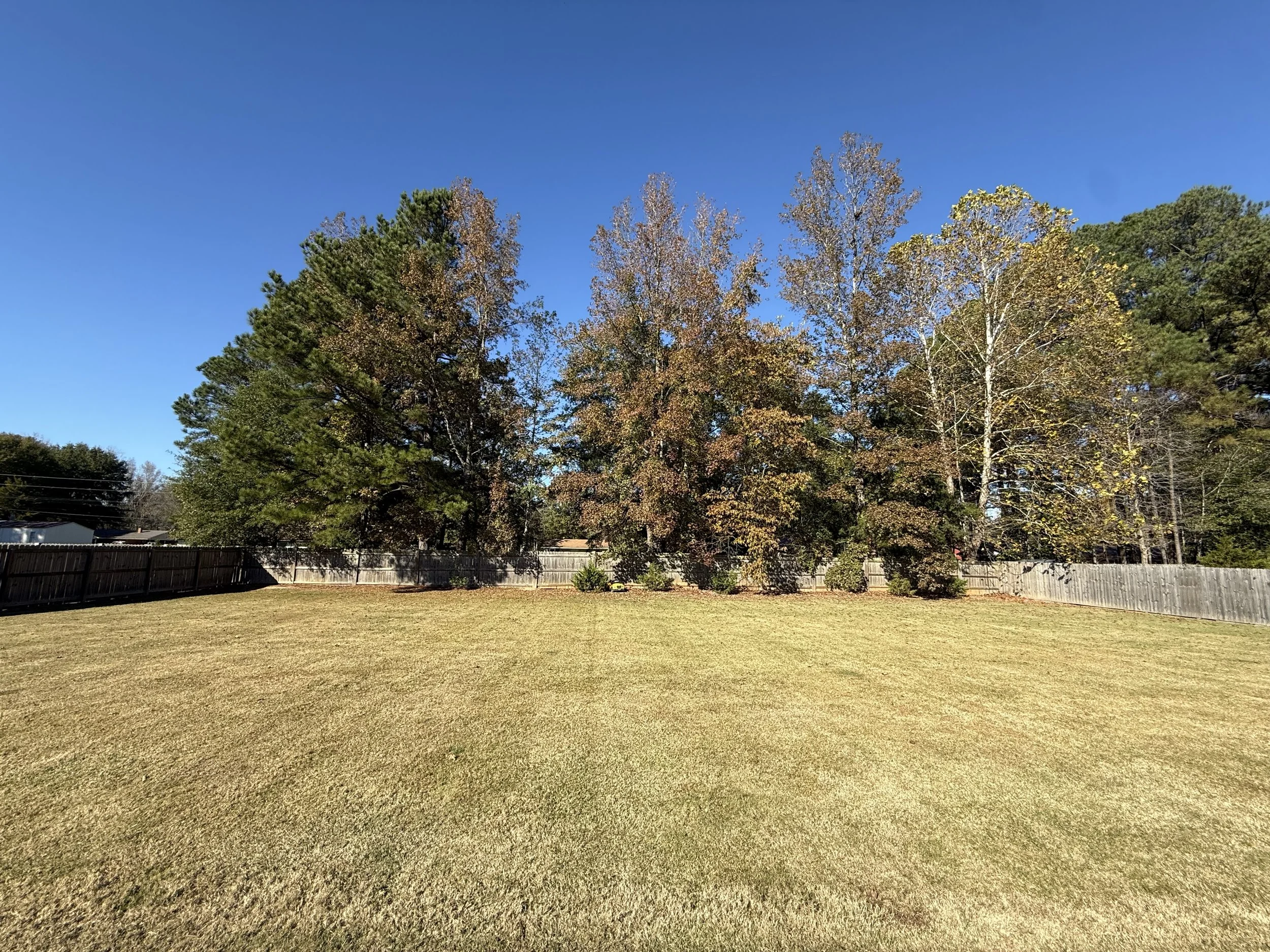 35 Backyard (2)? .jpeg