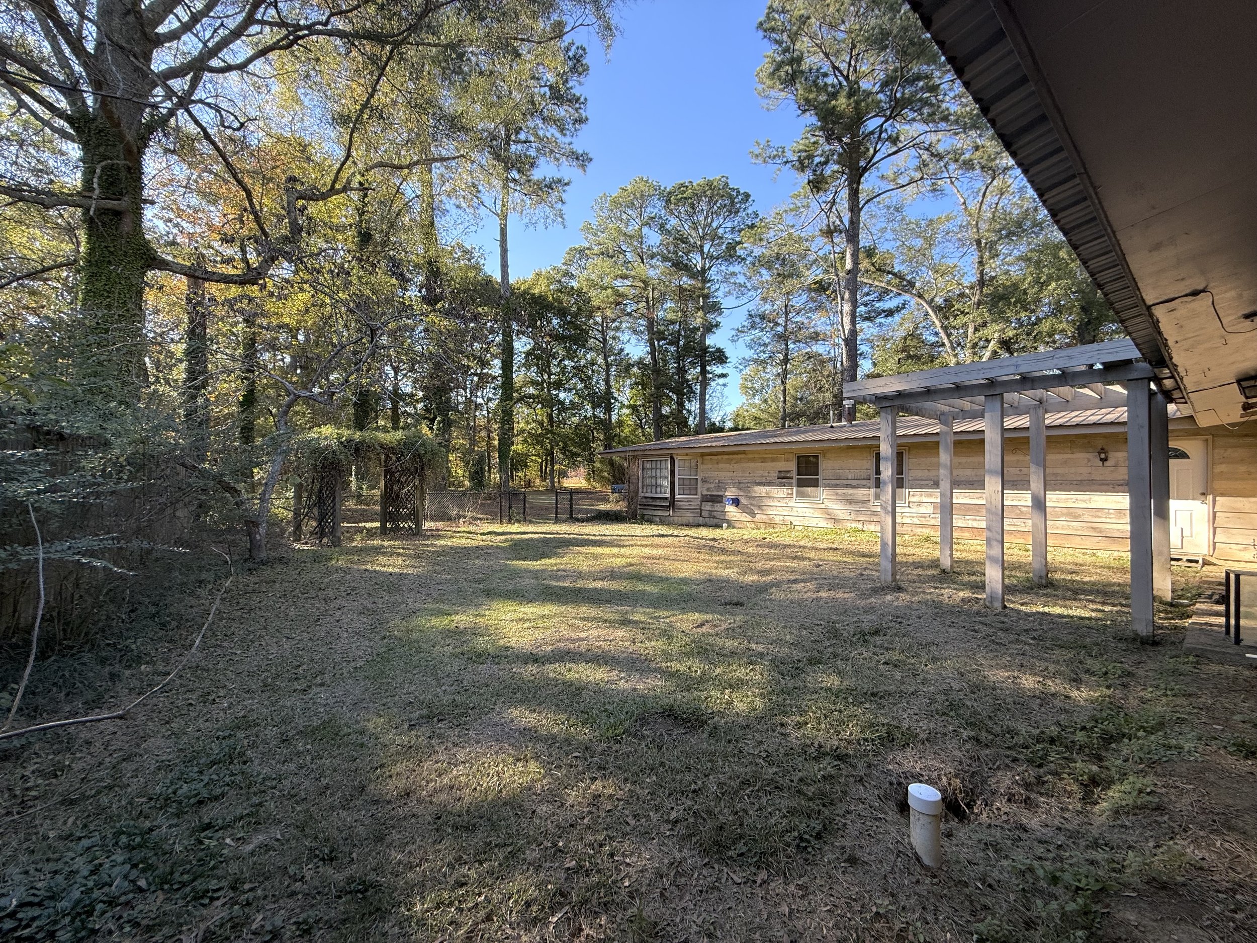 31 Backyard.jpeg