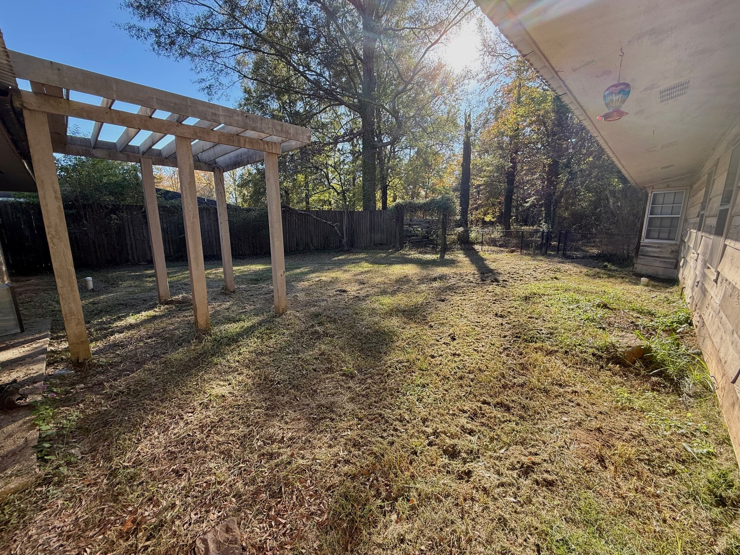 32 Backyard (2).jpeg