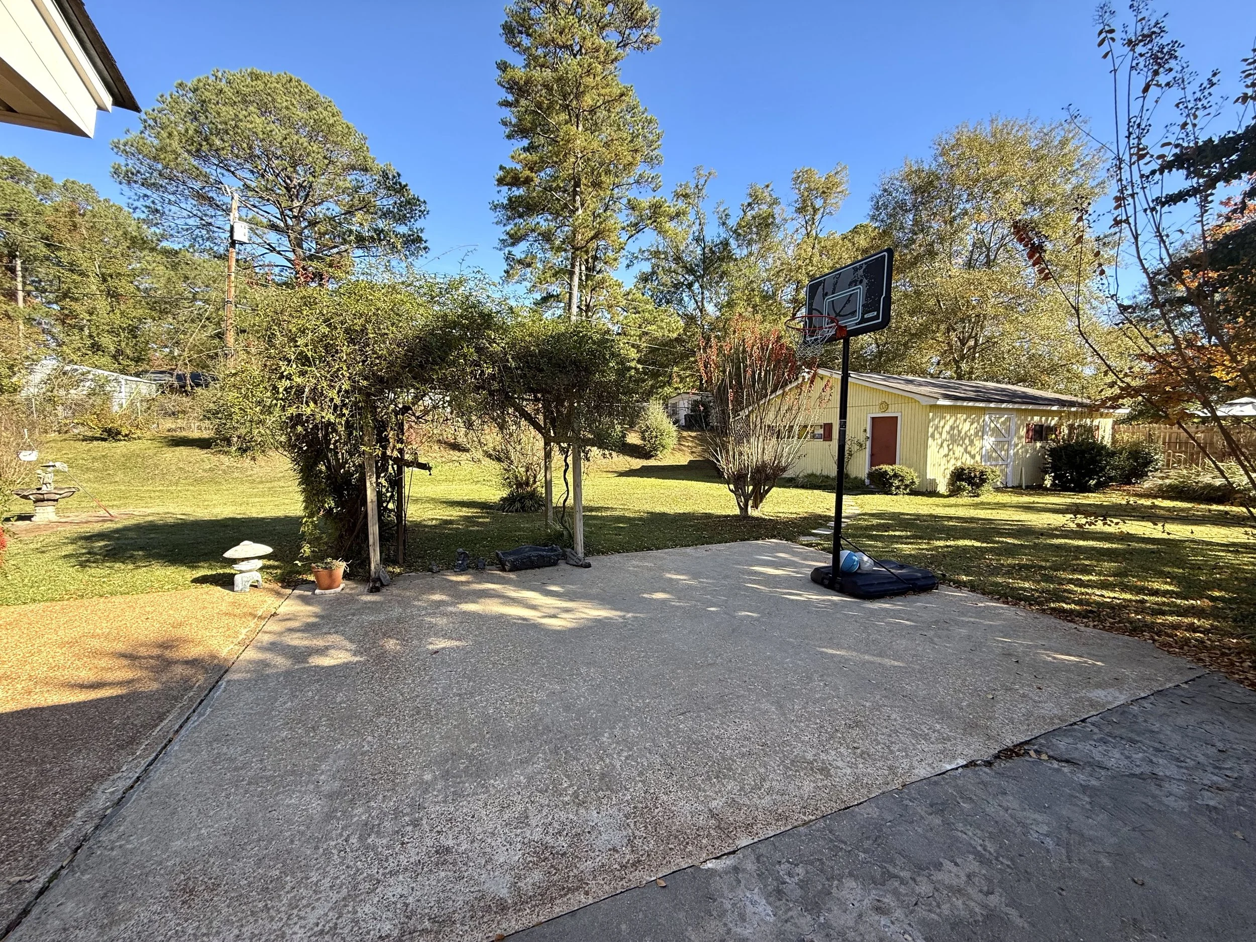 29 backyard.jpeg