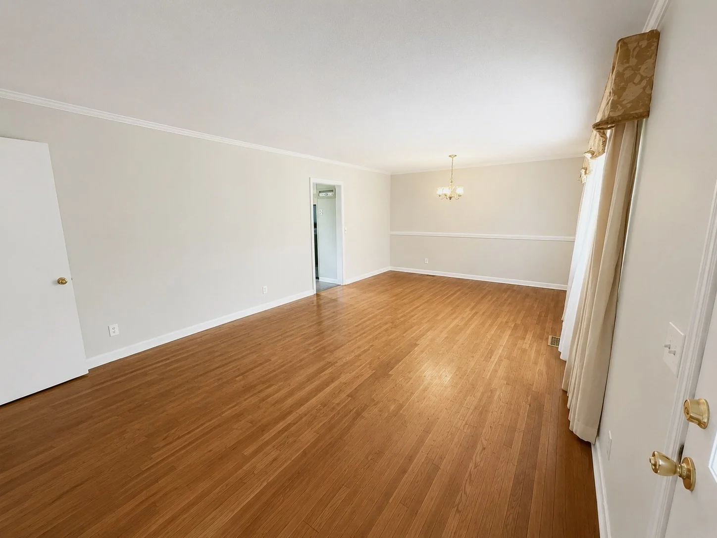 ChatGPT Image May 20, 2026 at 12_19_43 PM.jpeg