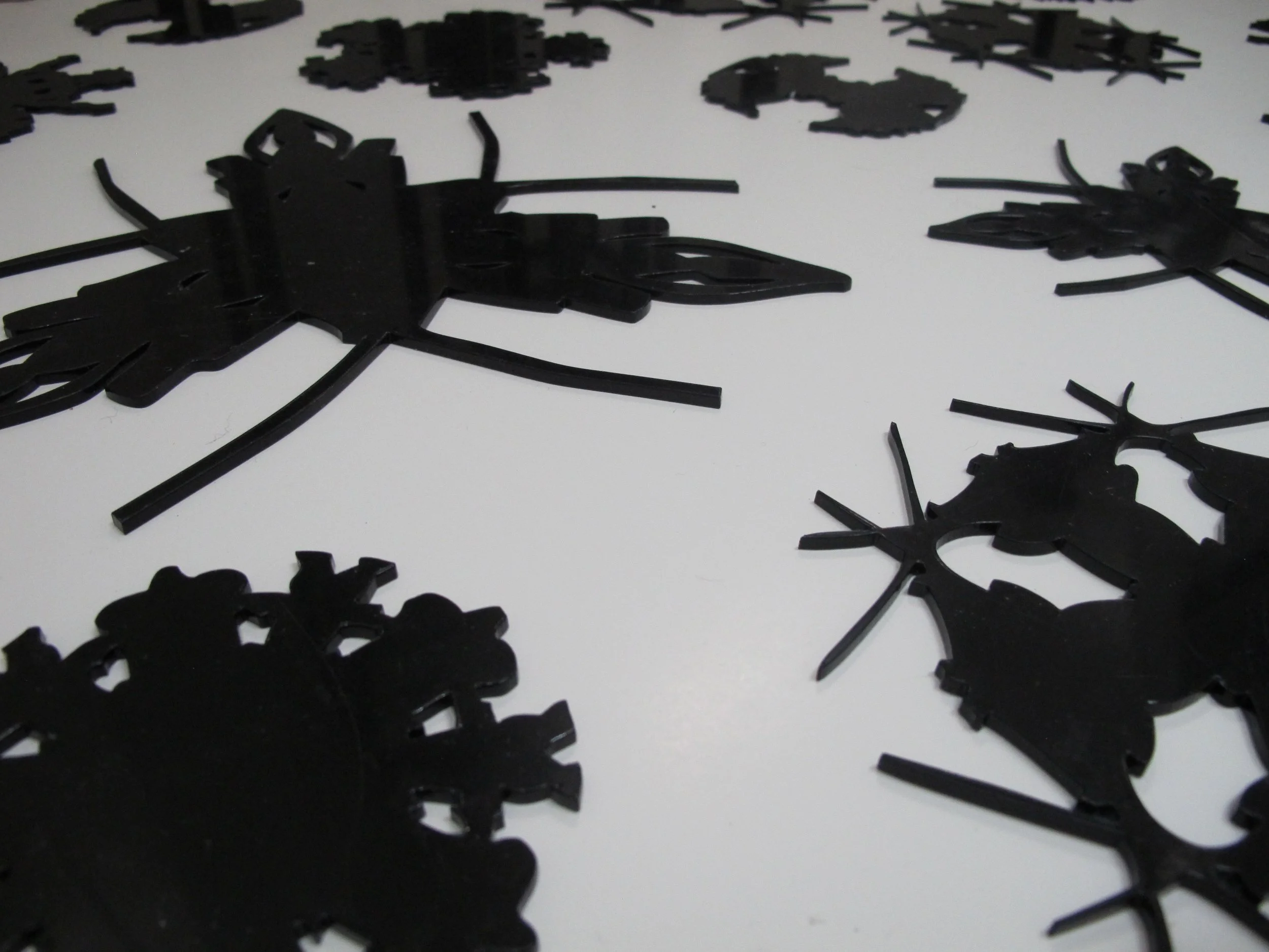 IMG_7349.jpg