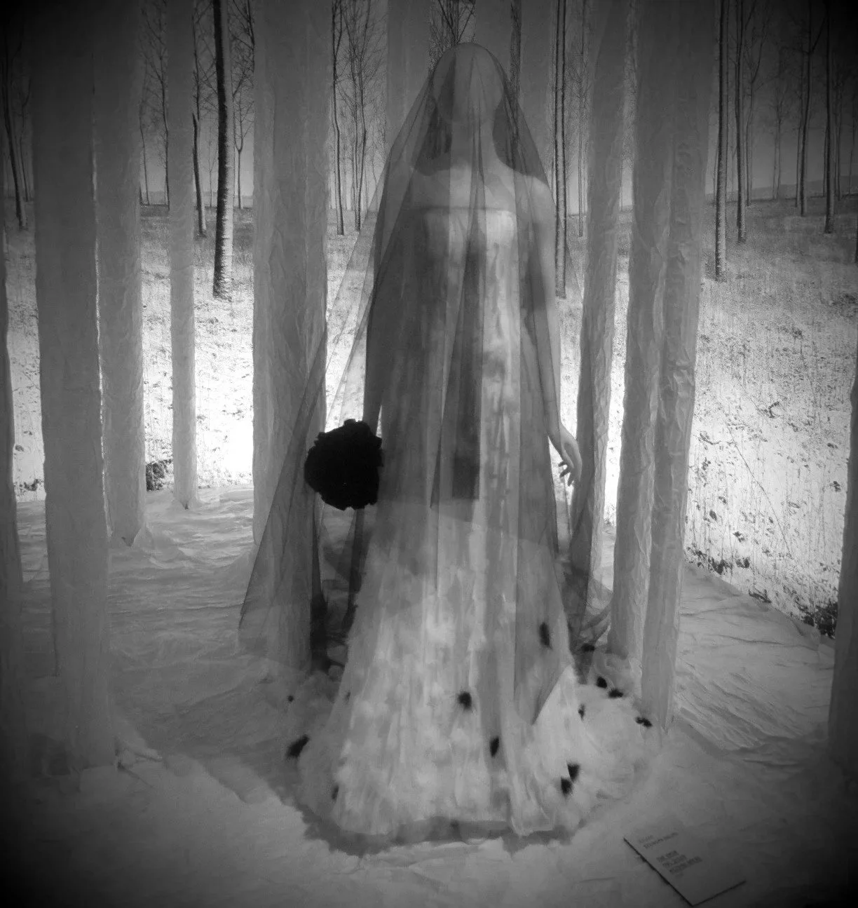 2013 Nordic Cool