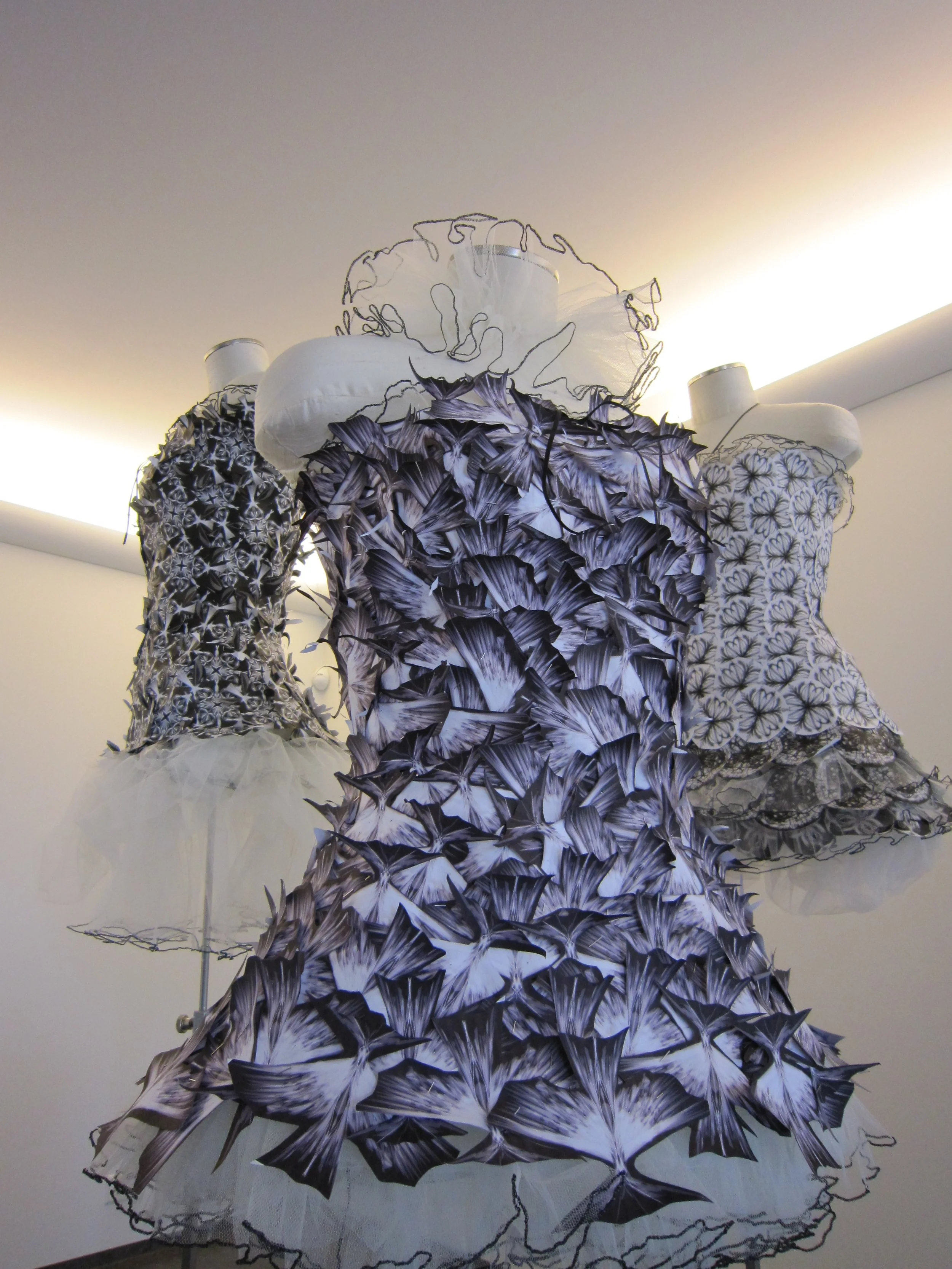 IMG_1528.jpg