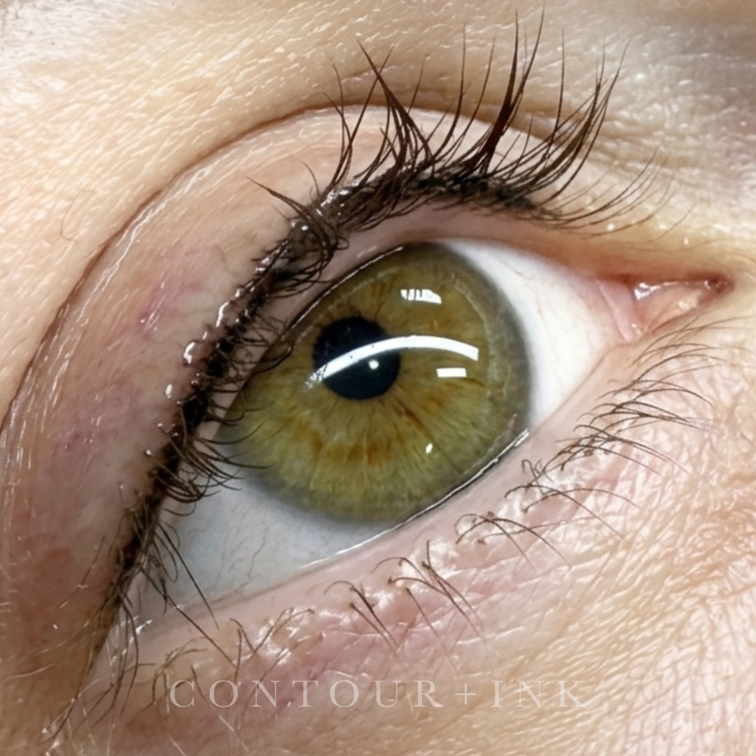 Close-up of a greenish-brown eye with long curled eyelashes and visible skin texture around it.