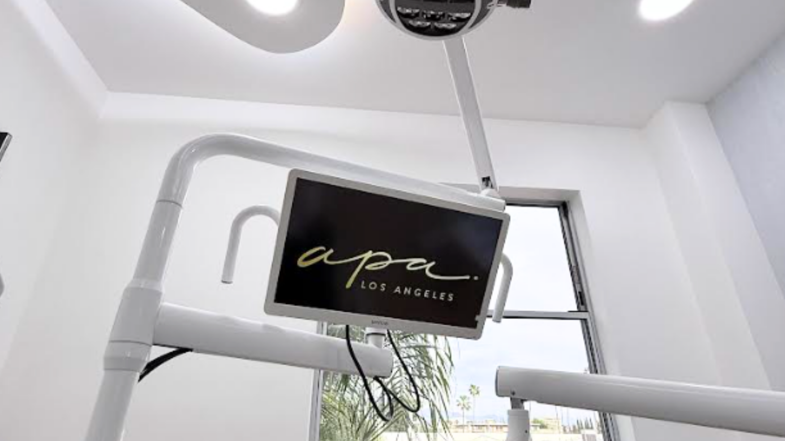 Meet My Dentist