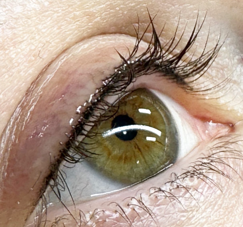 Close-up of a human eye with hazel iris, wet eyelashes, and visible eye makeup.