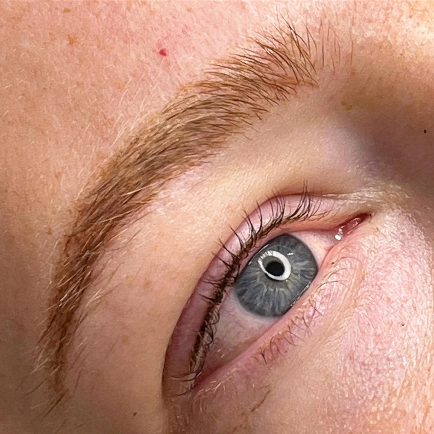 Close-up of a human eye with blue iris, surrounded by light skin and blonde eyebrow hairs.