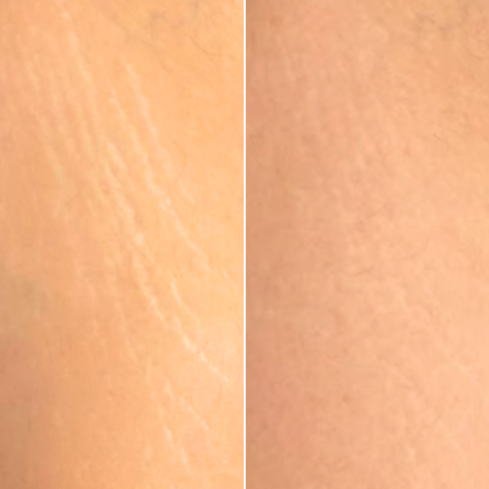 Skintone Camouflage Before and After.png