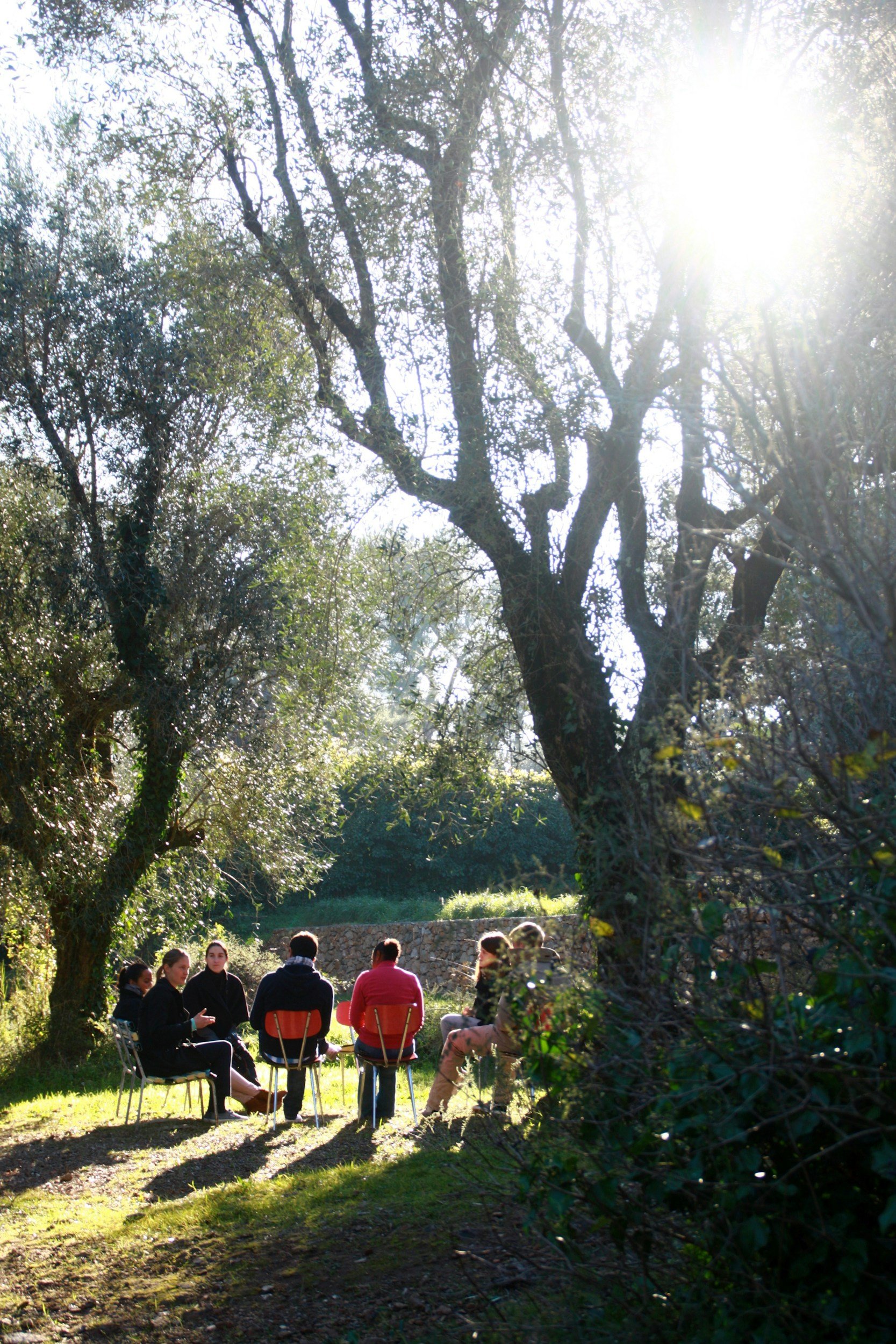group of people sitting outside in a circle of chairs surrounded by trees with the sun shining through