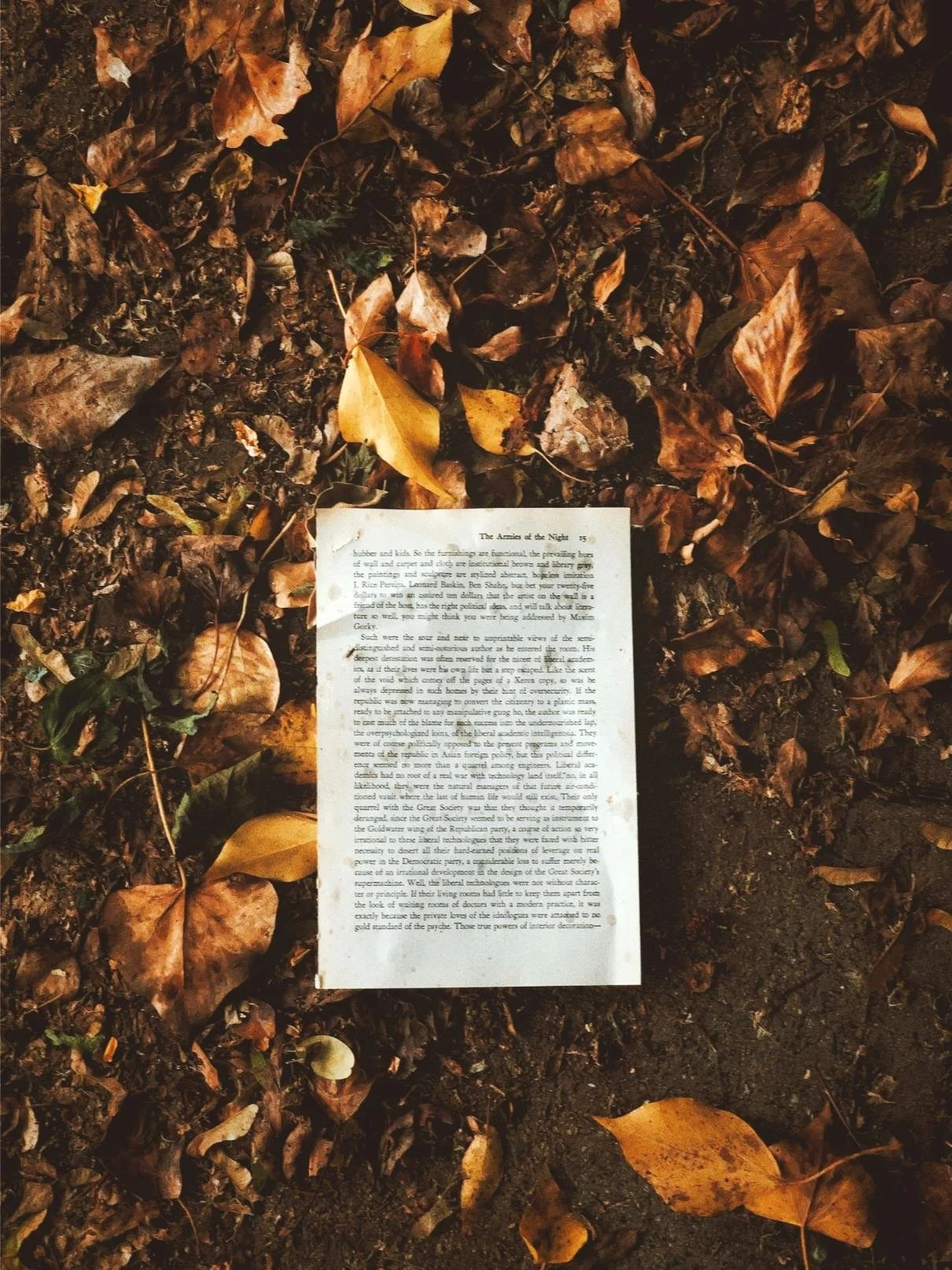 Book page on ground with autumn leaves