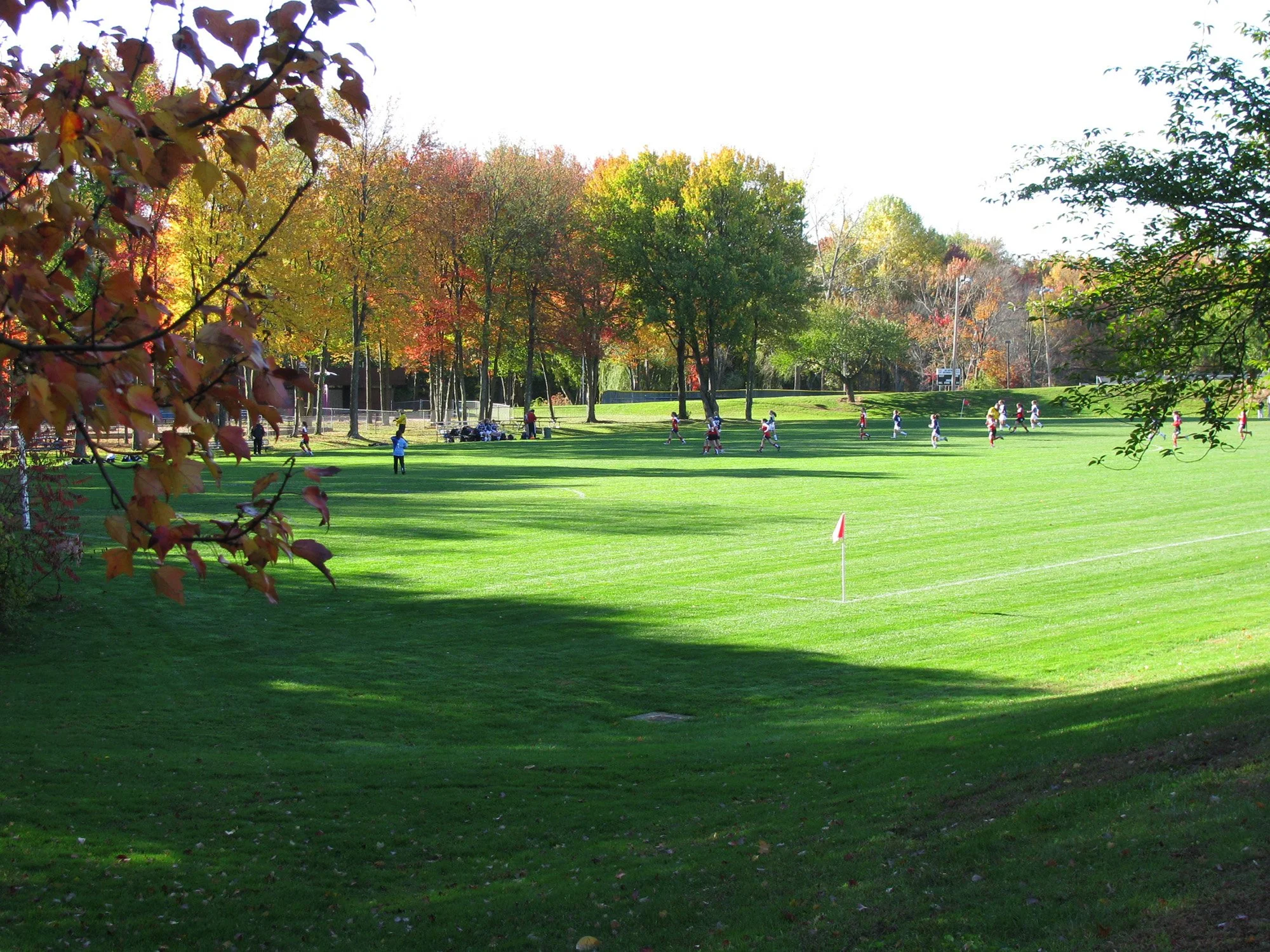 Wolcott Park 8_Richter Cegan.jpg