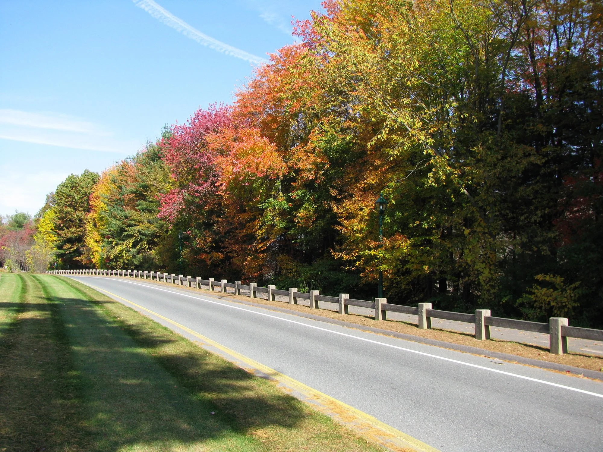 Iron Horse Boulevard 2_Richter Cegan.jpg
