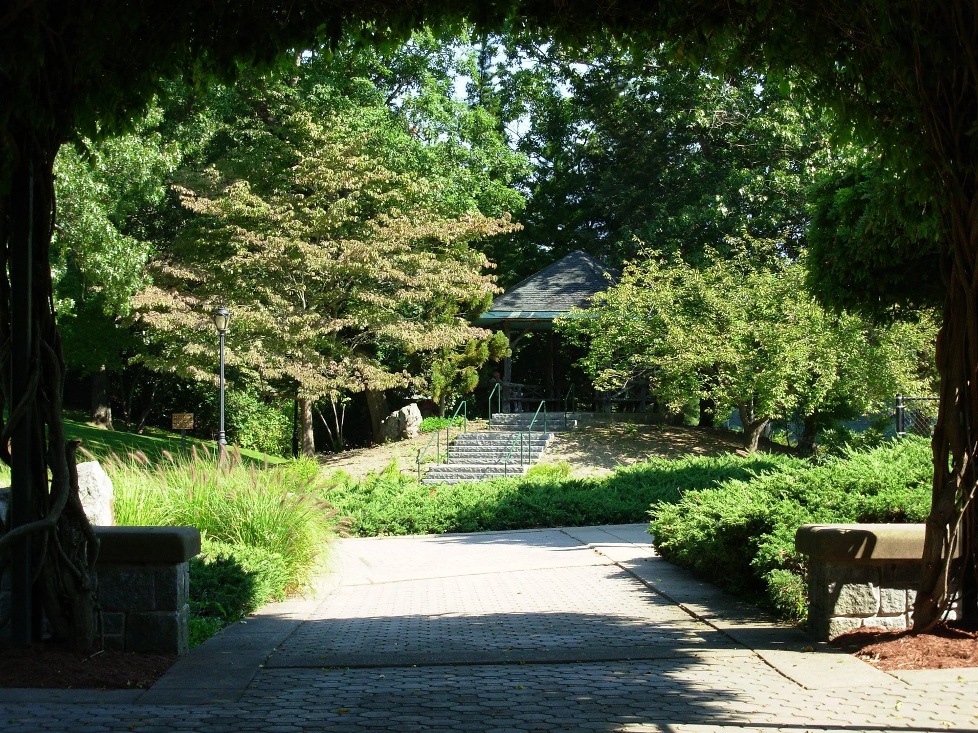 Mohegan Park 6_Richter Cegan.jpg