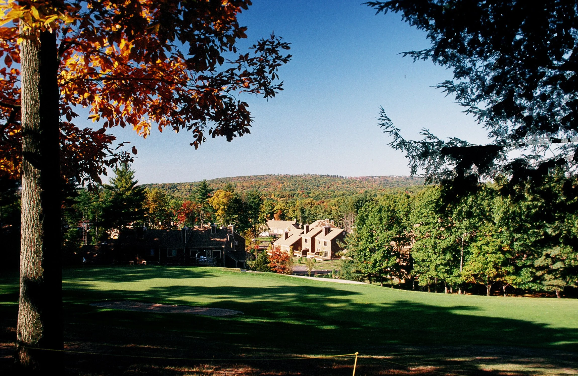 Farmington Woods 4_Richter Cegan.jpg