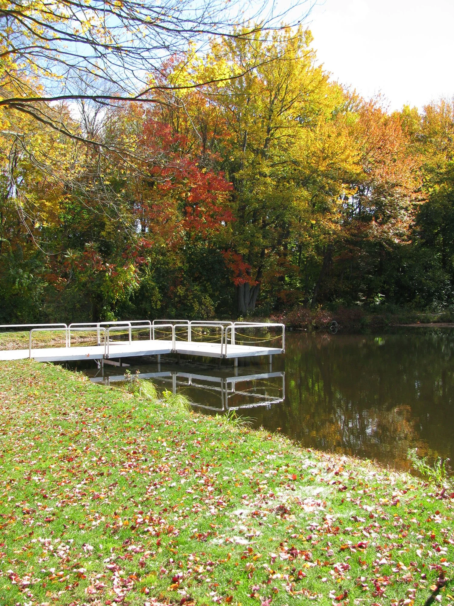 Wolcott Park 3_Richter Cegan.jpg