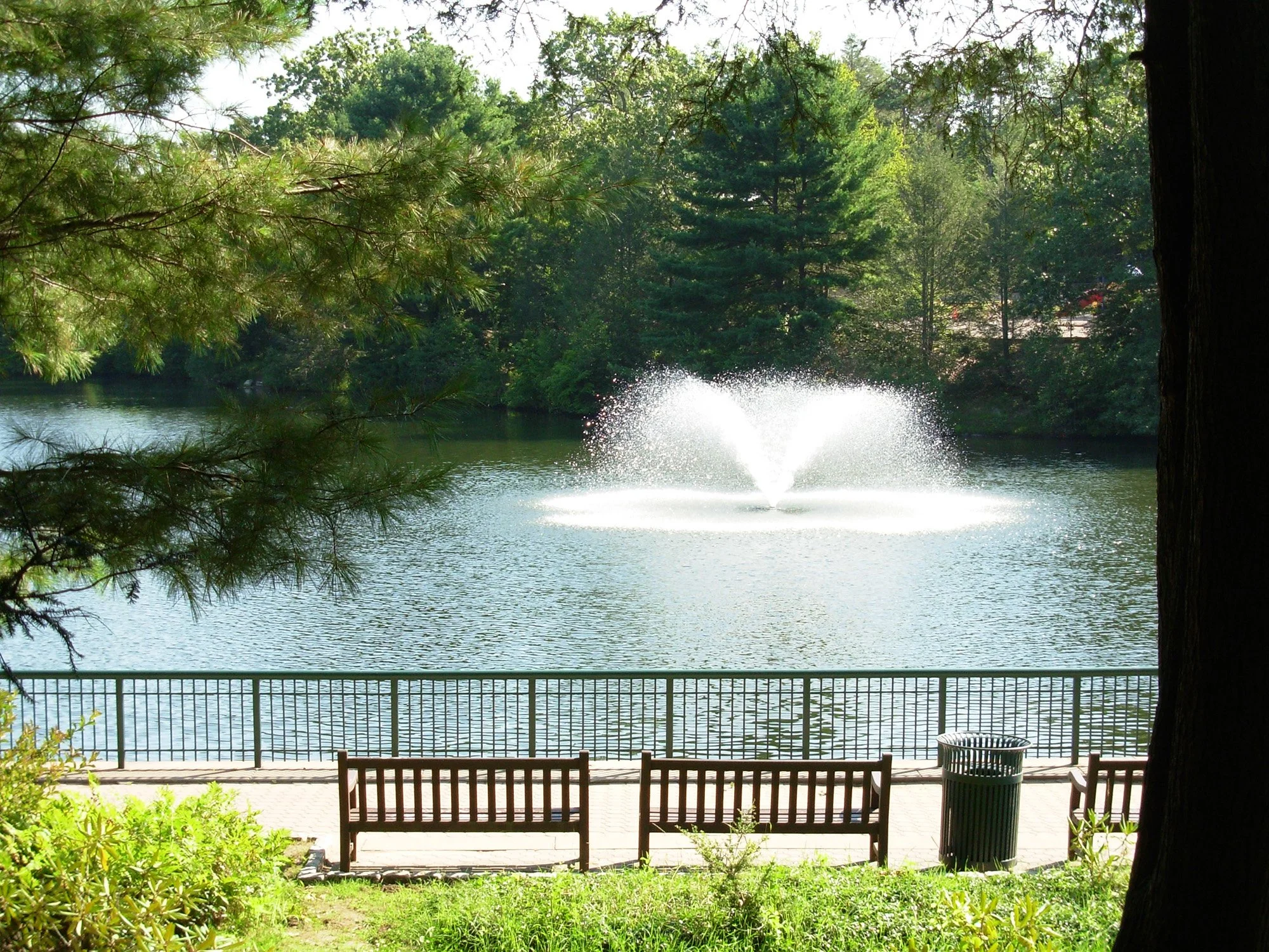 Mohegan Park 2_Richter Cegan.jpg