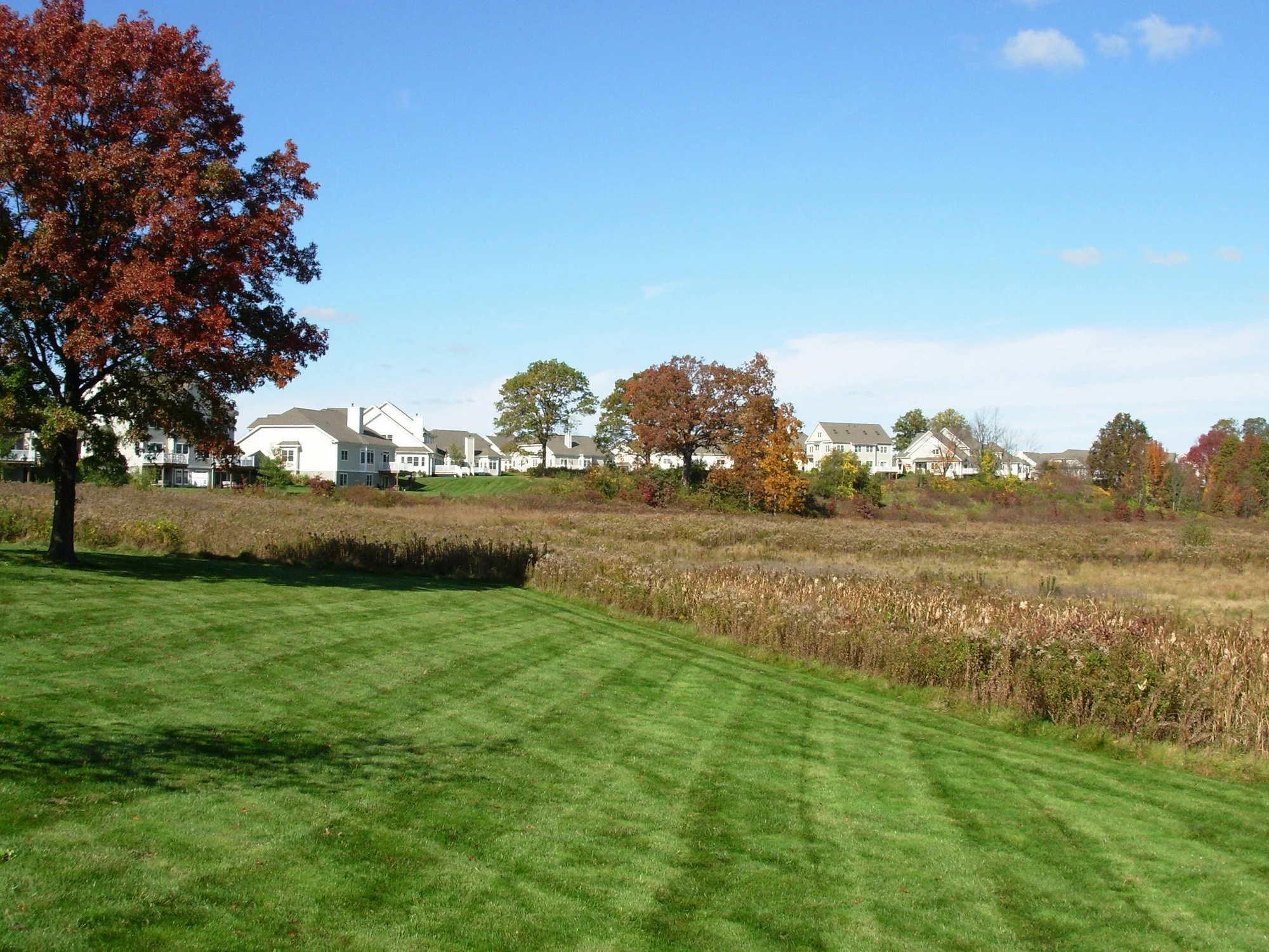 Gillette Ridge 7_Richter Cegan.jpg
