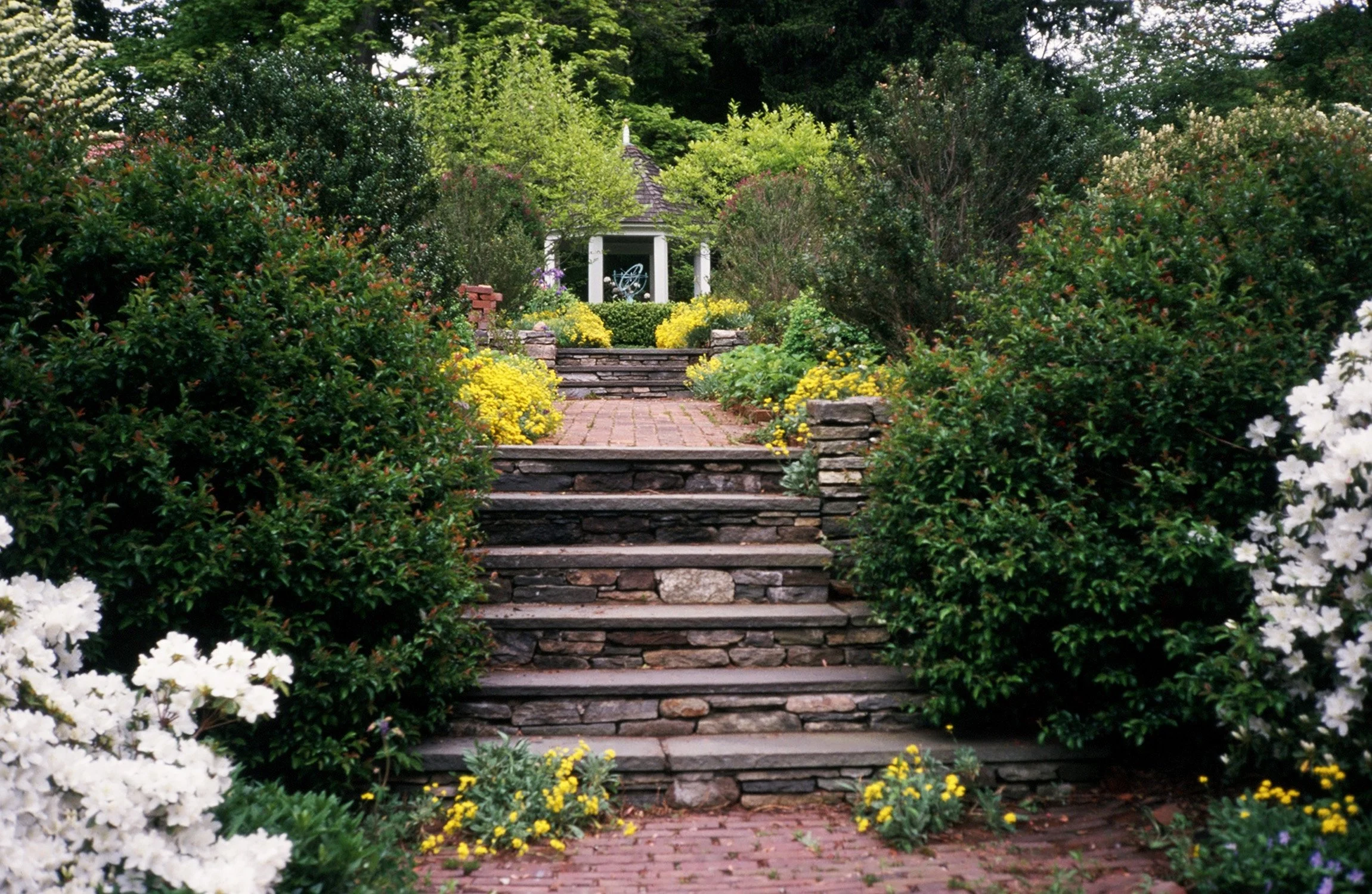 Bloom Garden 4_Richter Cegan.jpg