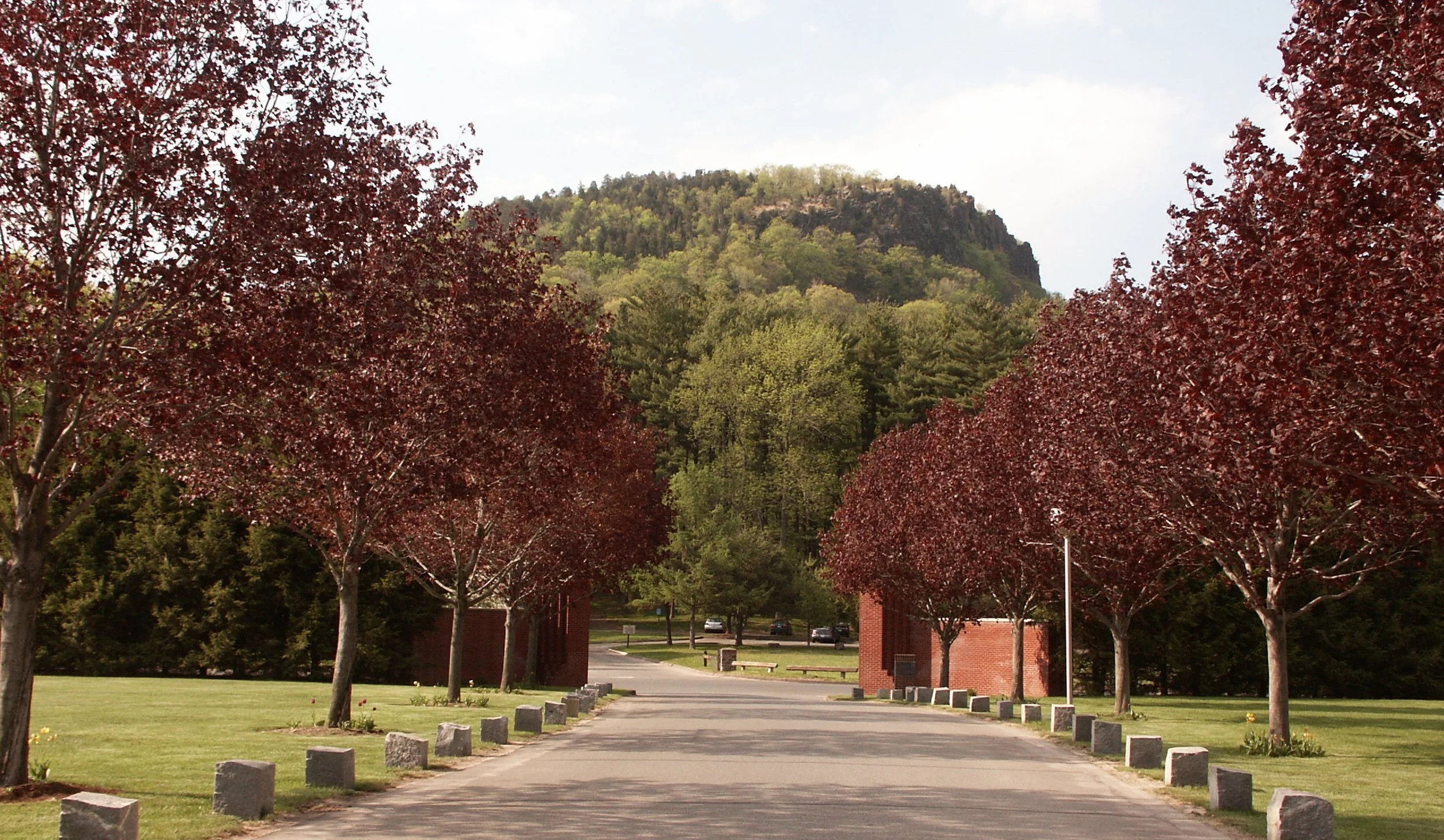 QU Landscape Master Plan 5_Richter Cegan.jpg