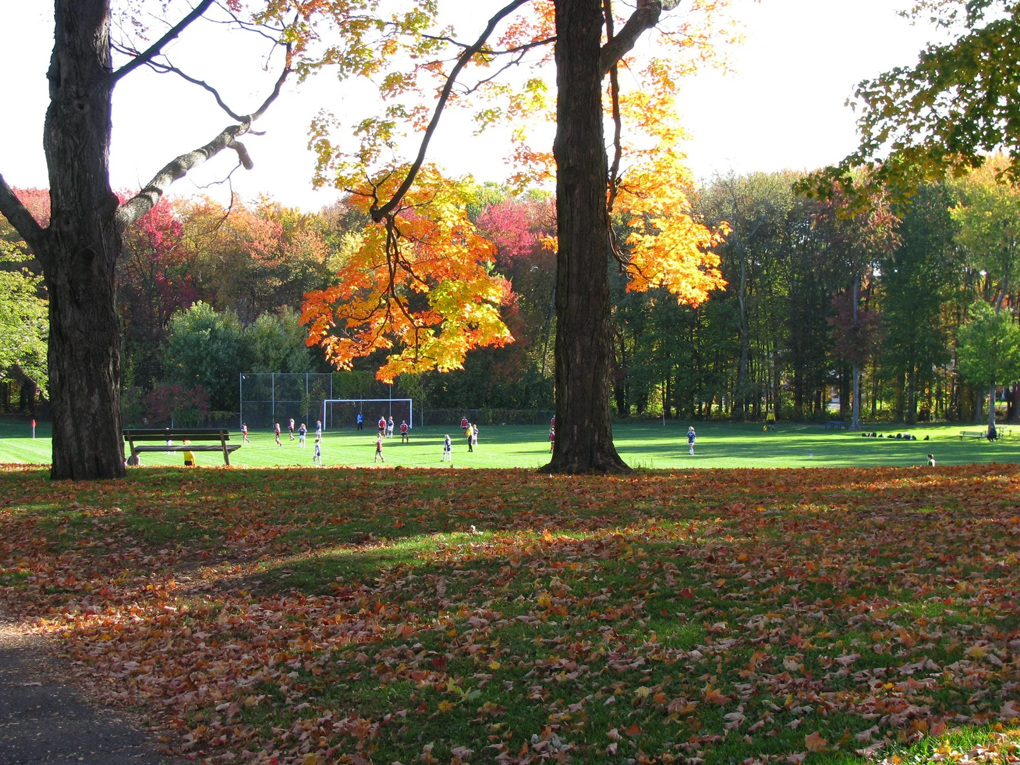 Wolcott Park 6_Richter Cegan.jpg