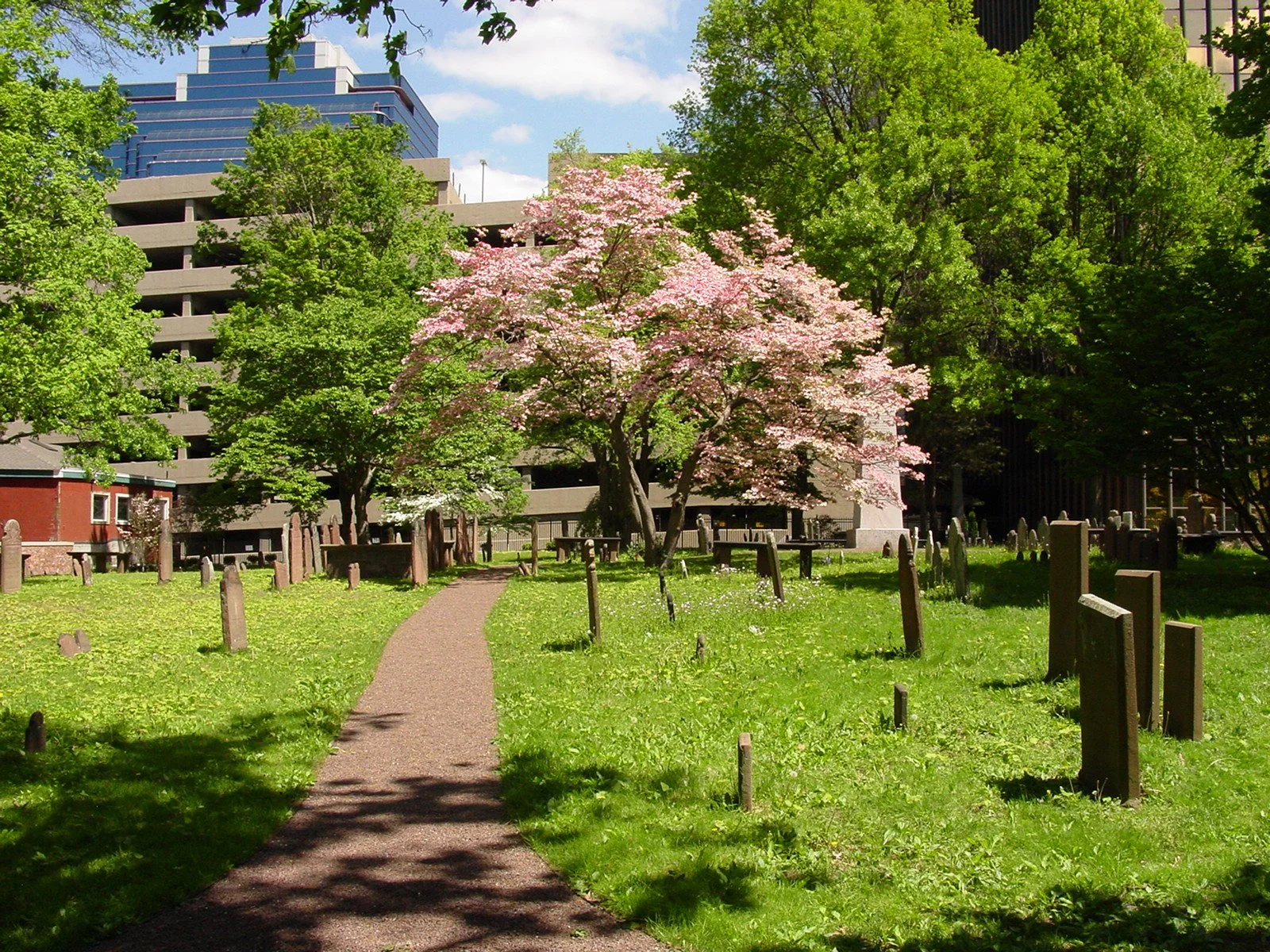 Ancient Burying Ground 8_Richter Cegan.jpg