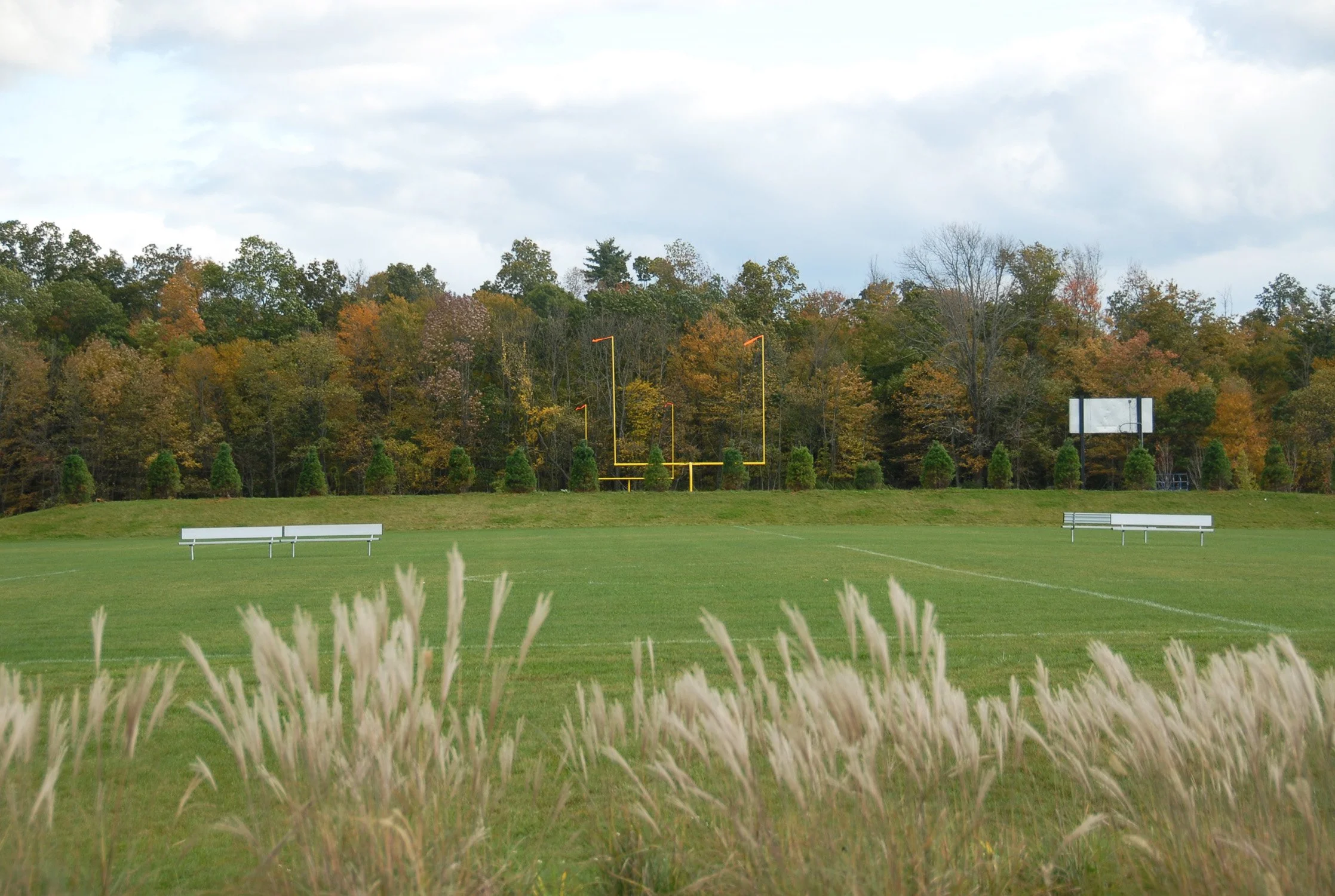 Burnt Hill Park 2_Richter Cegan.jpg