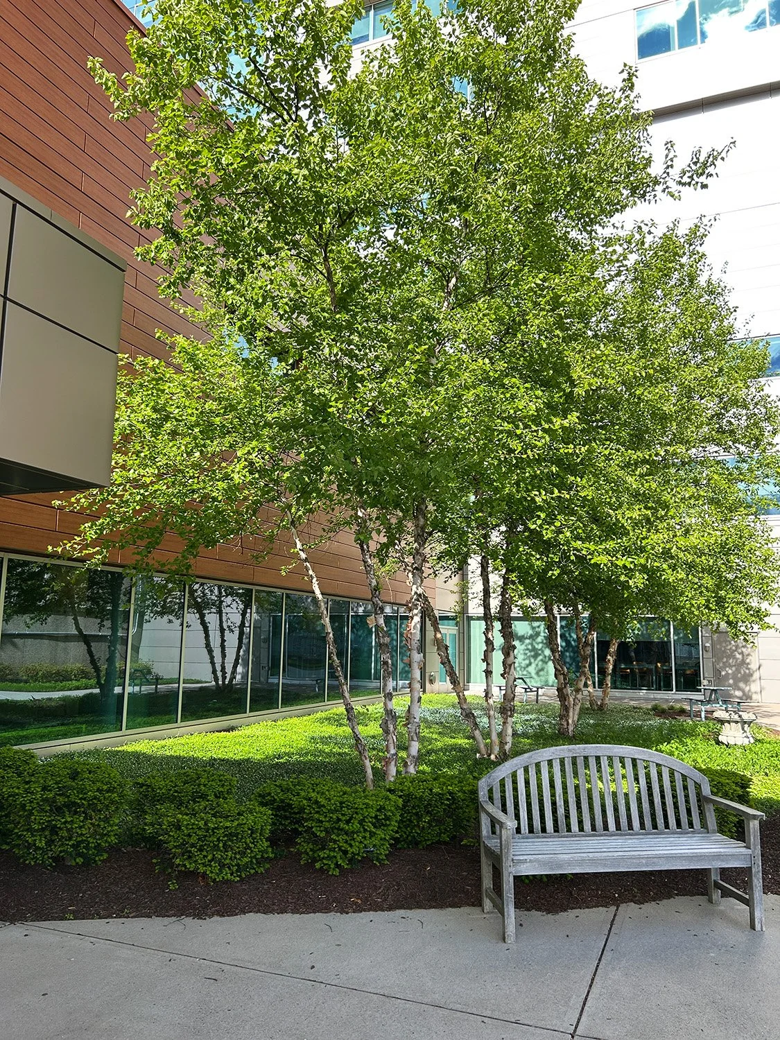 UCHC New Patient Tower 4_Richter Cegan.jpg
