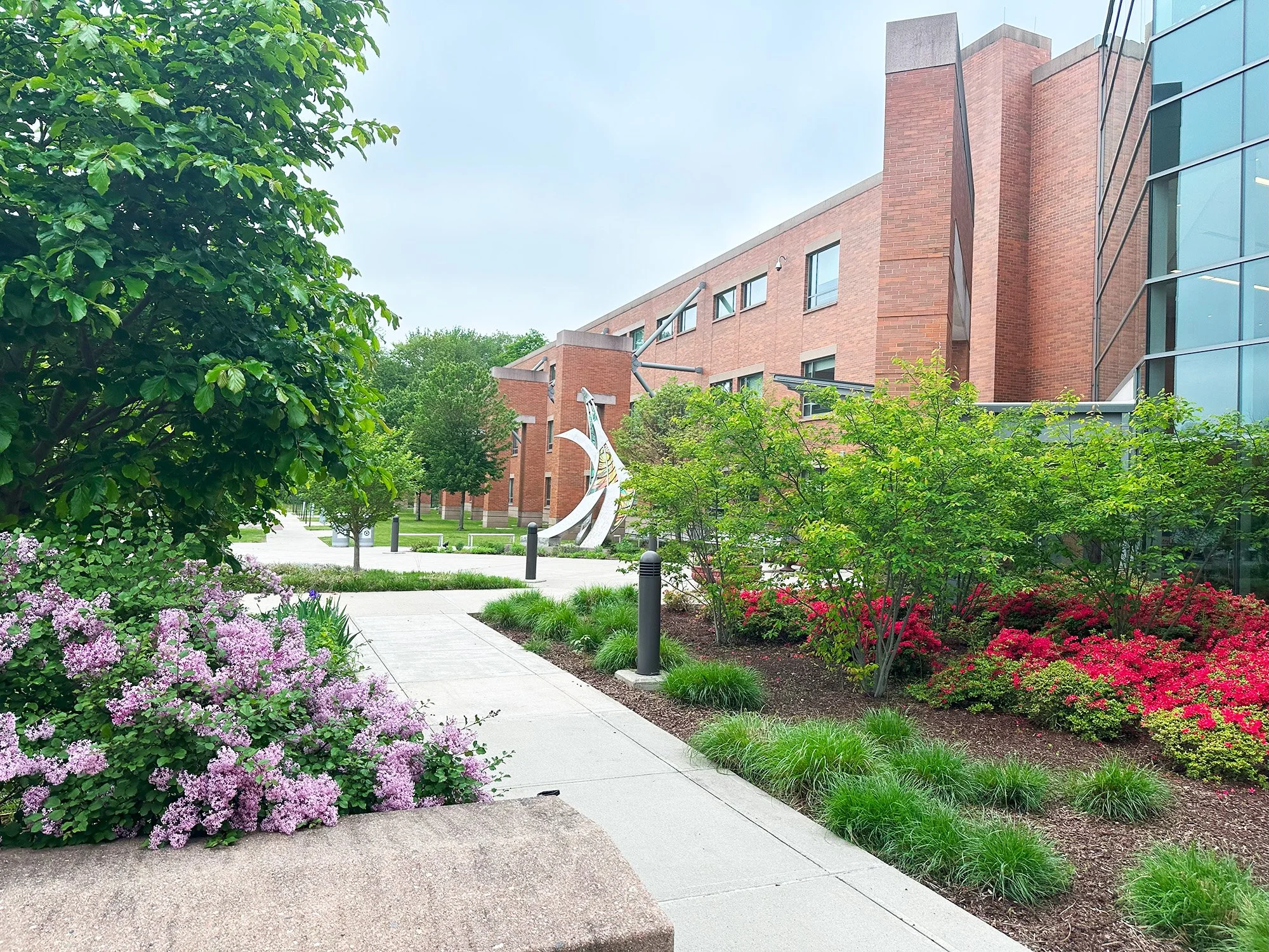 NVCC Founders Hall 4_Richter Cegan.jpg