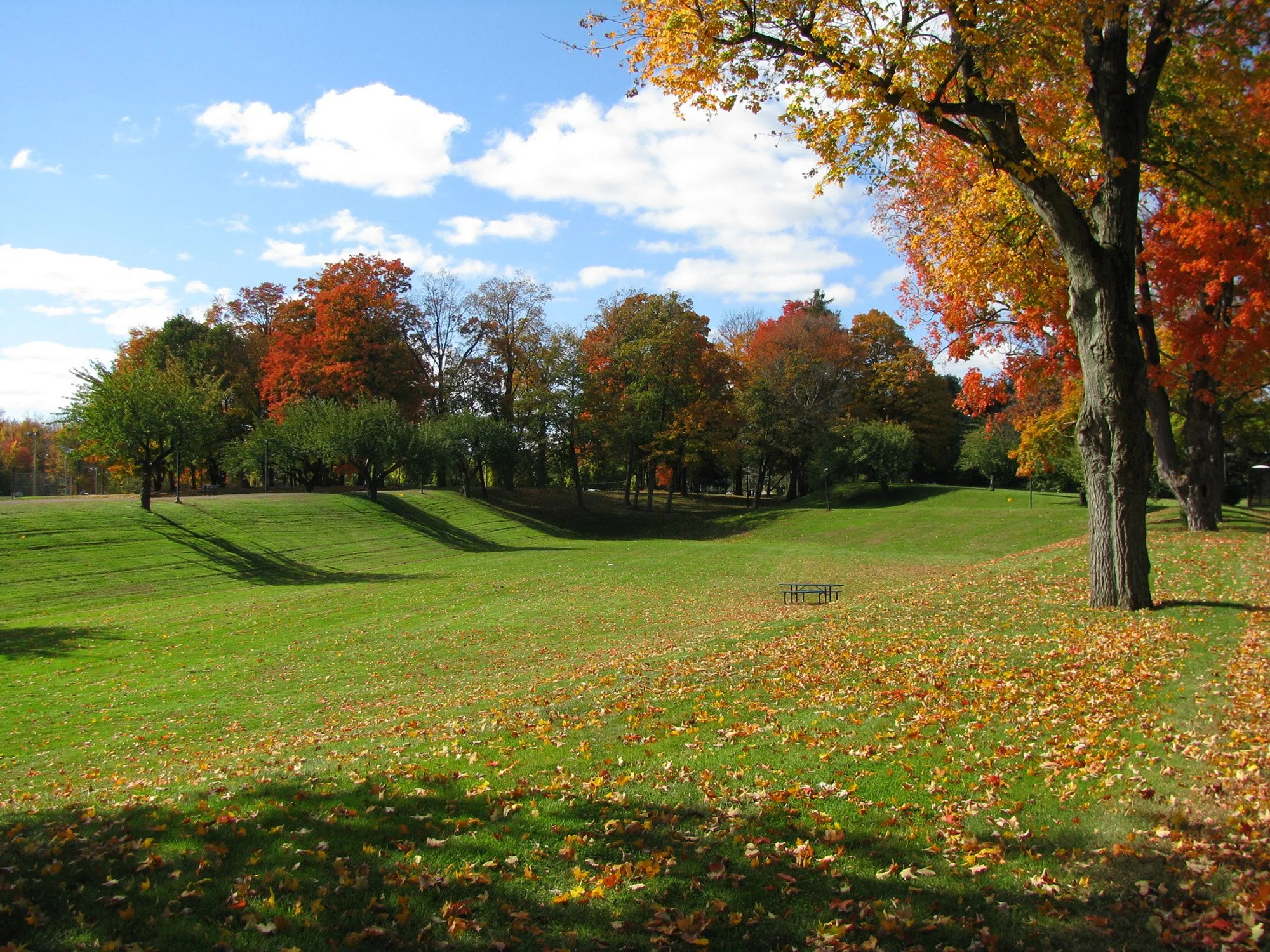 Wolcott Park 7_Richter Cegan.jpg