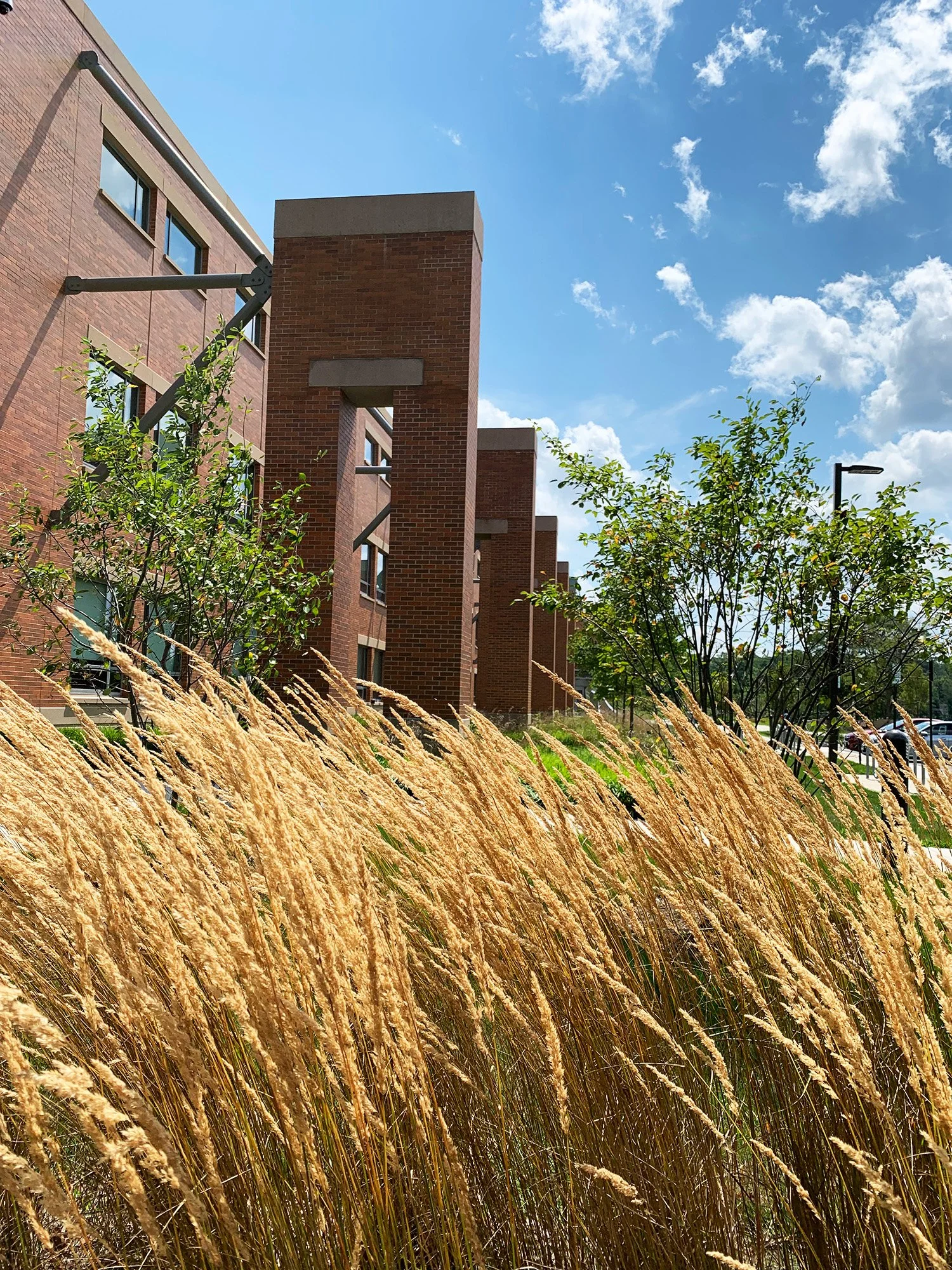 NVCC Founders Hall 11_Richter Cegan.jpg