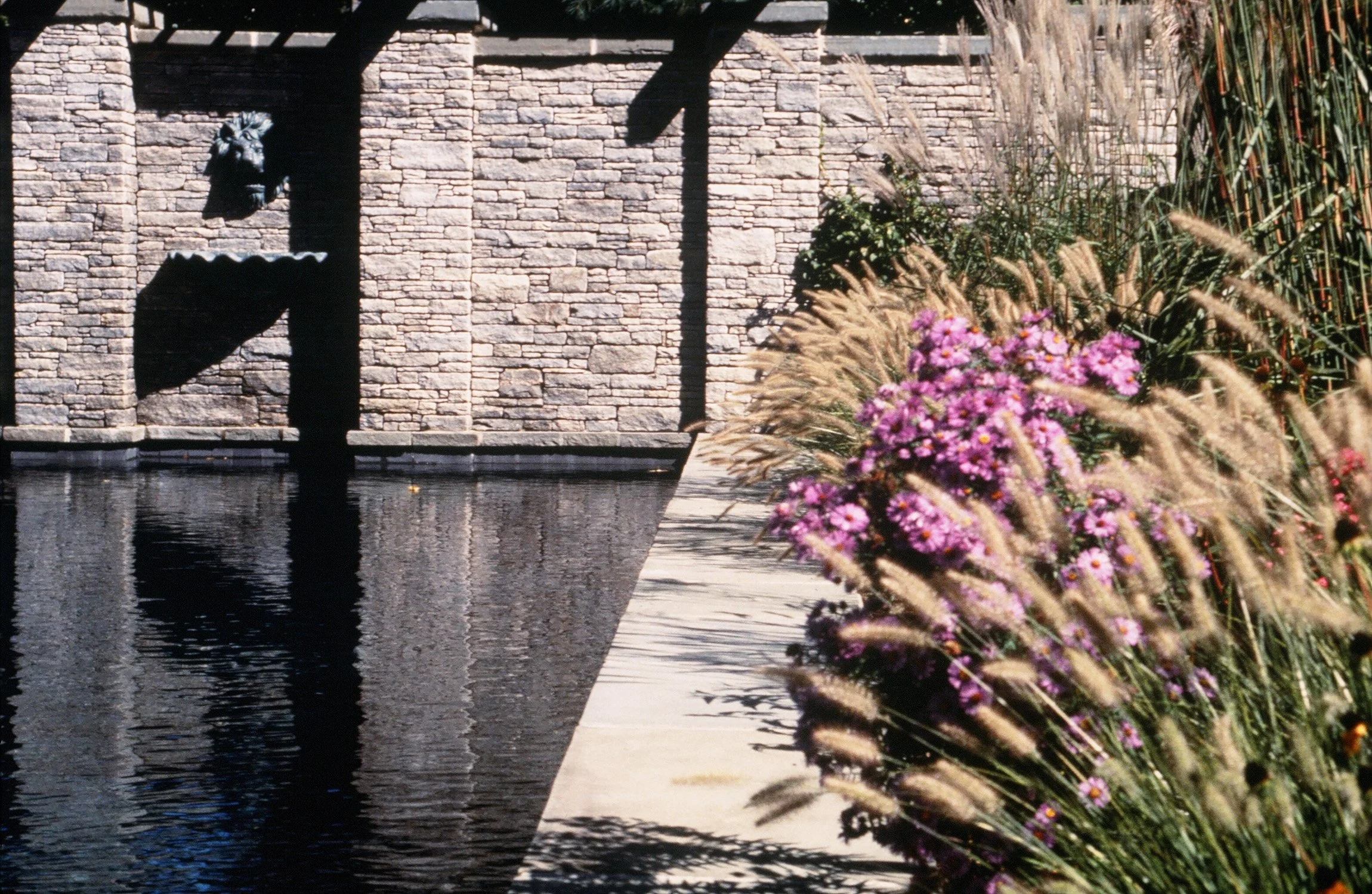 Bloom Garden 9_Richter Cegan.jpg