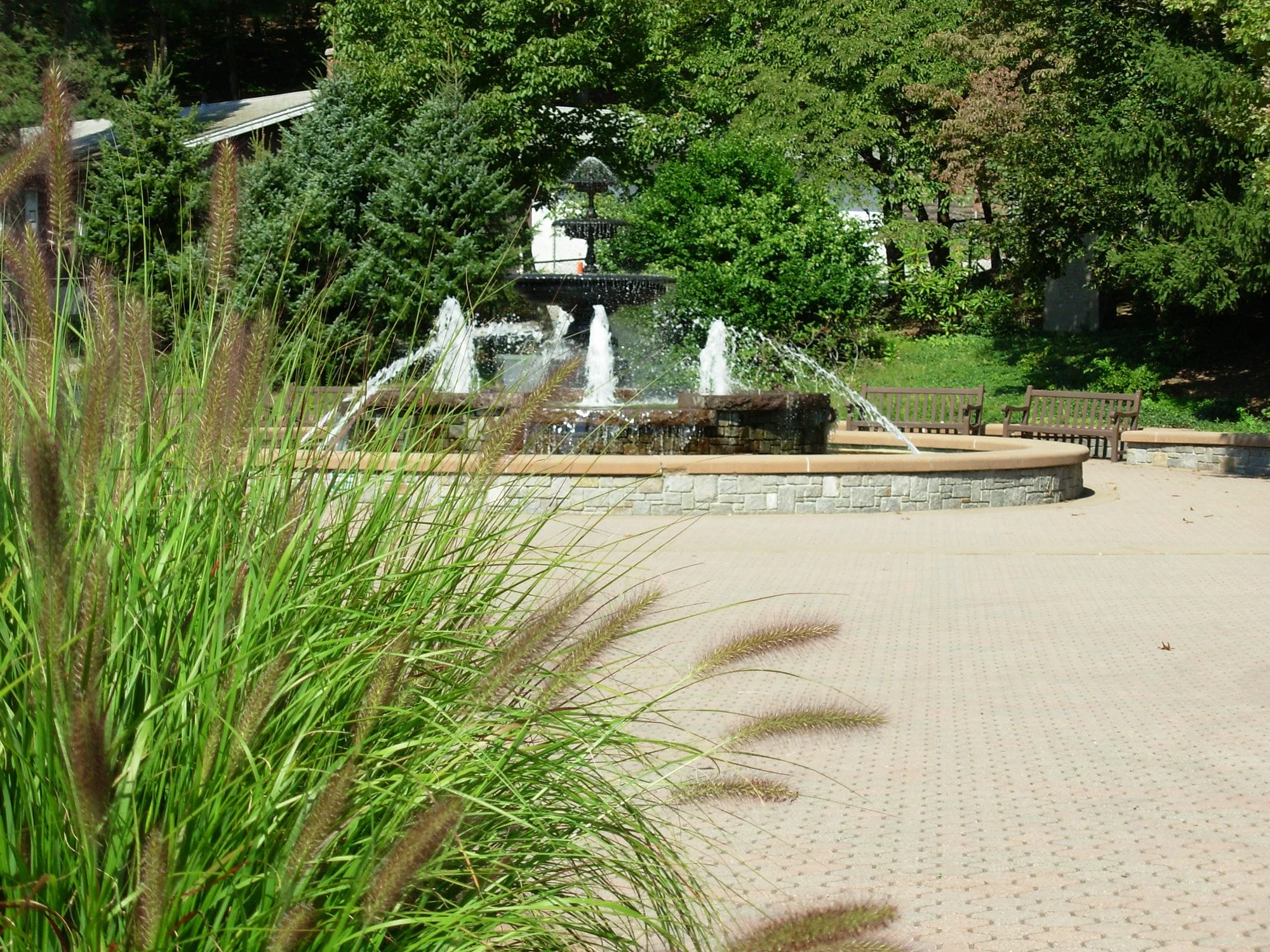Mohegan Park 10_Richter Cegan.jpg