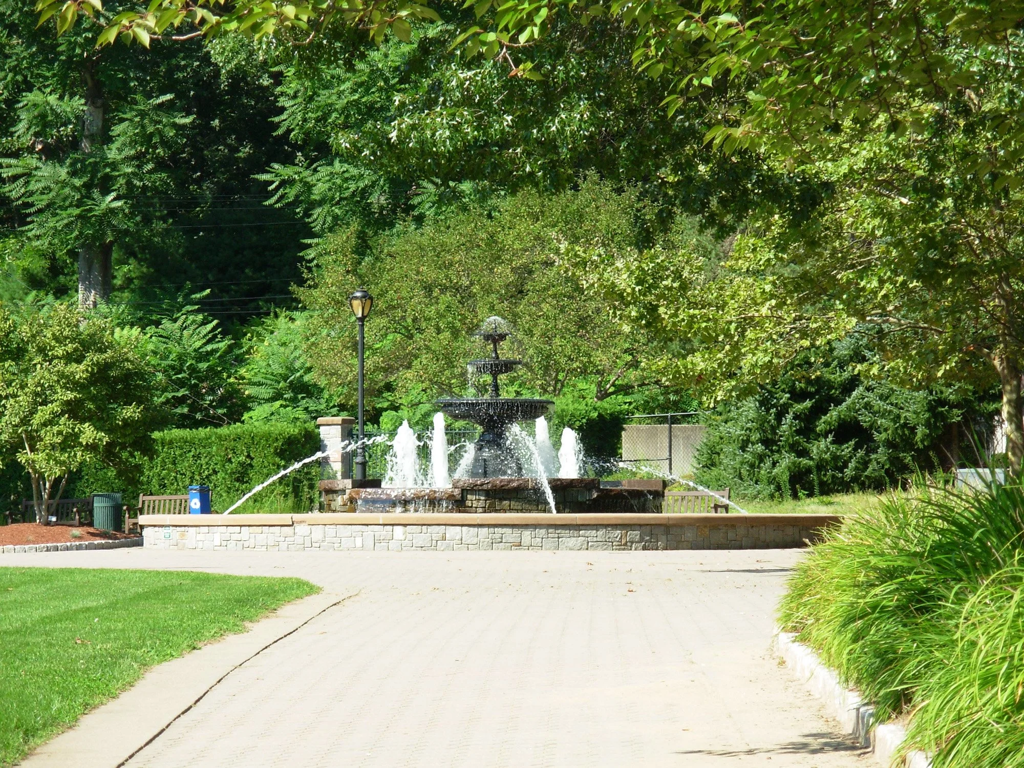 Mohegan Park 5_Richter Cegan.jpg