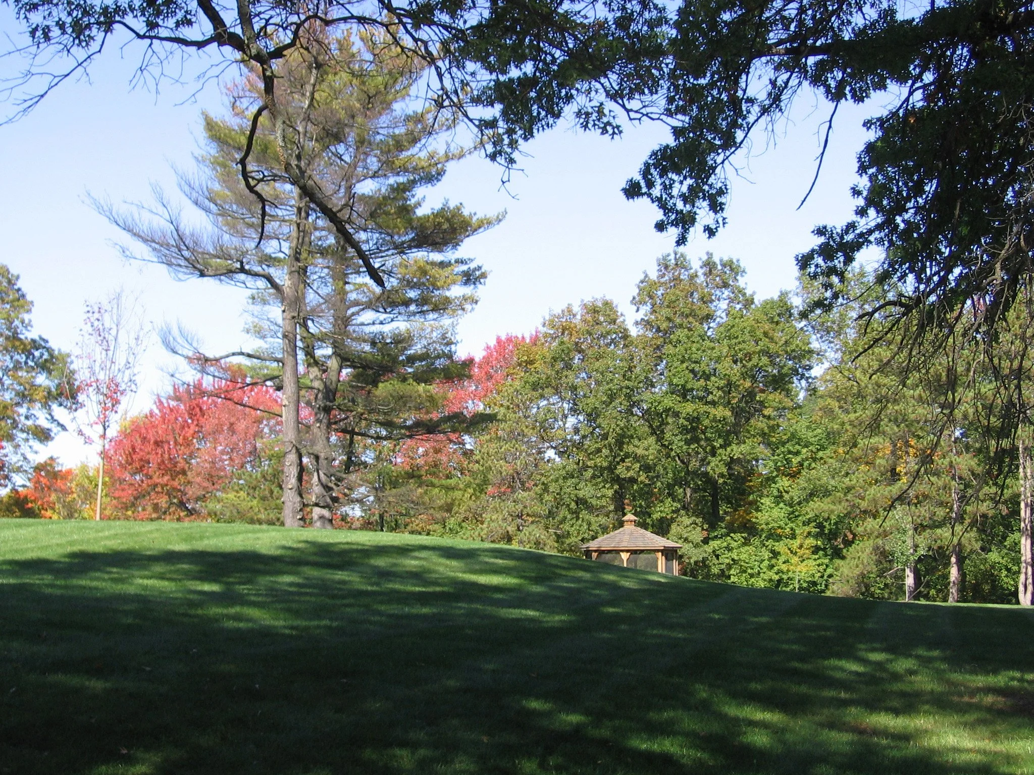 Hamilton Heights 6_Richter Cegan.jpg
