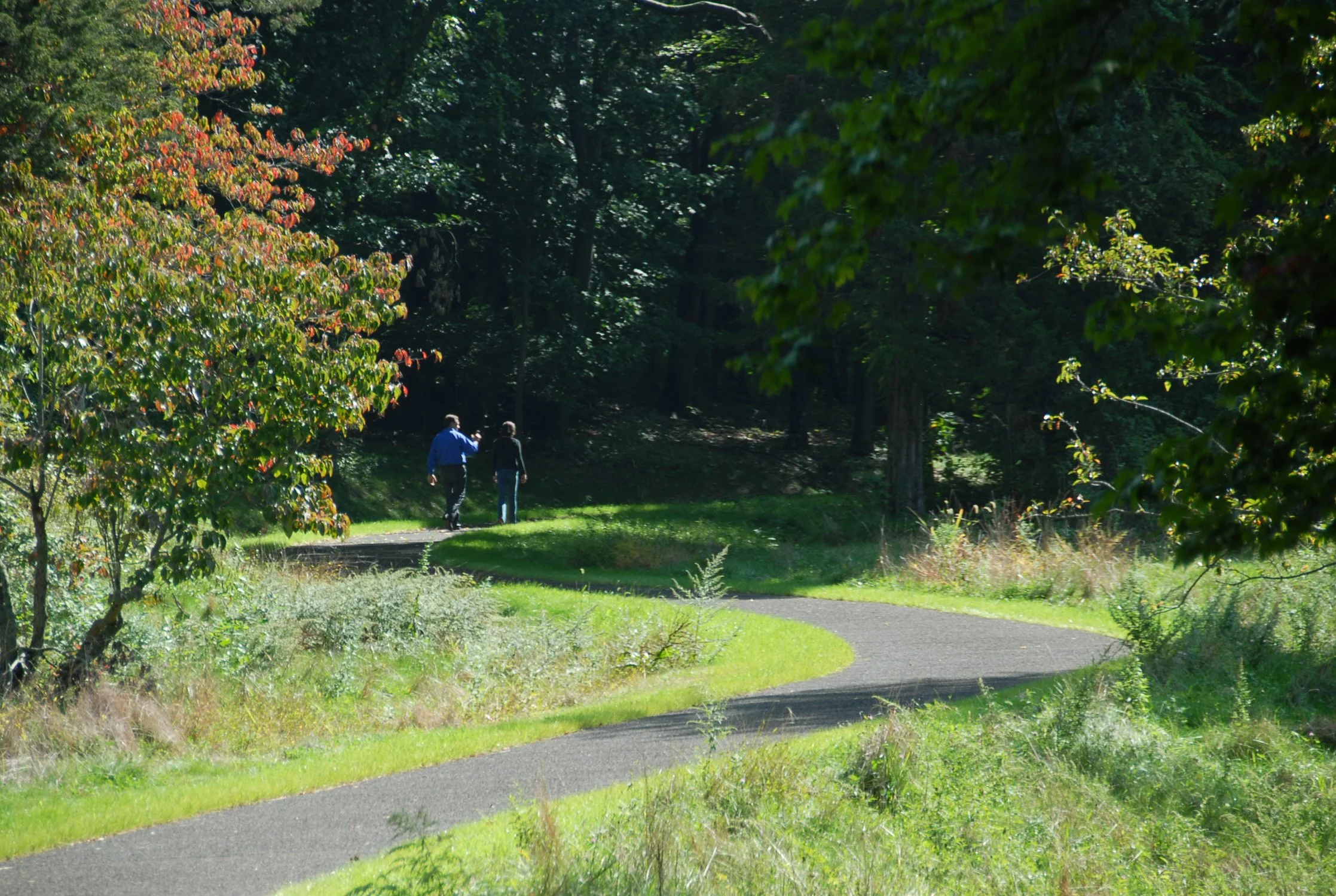 Irwin Park Master Plan 2_Richter Cegan.jpg