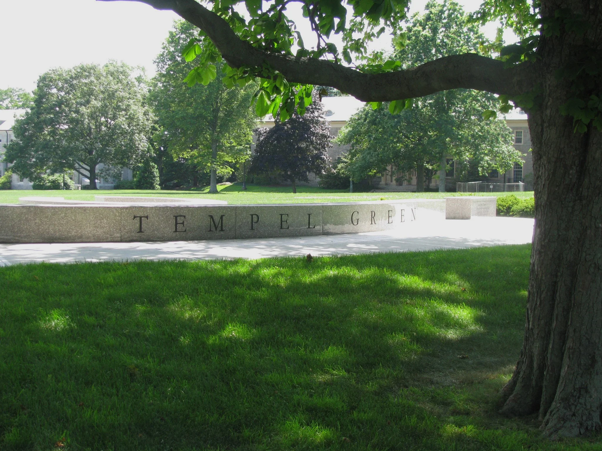 CT College Tempel Green 5_Richter Cegan.jpg