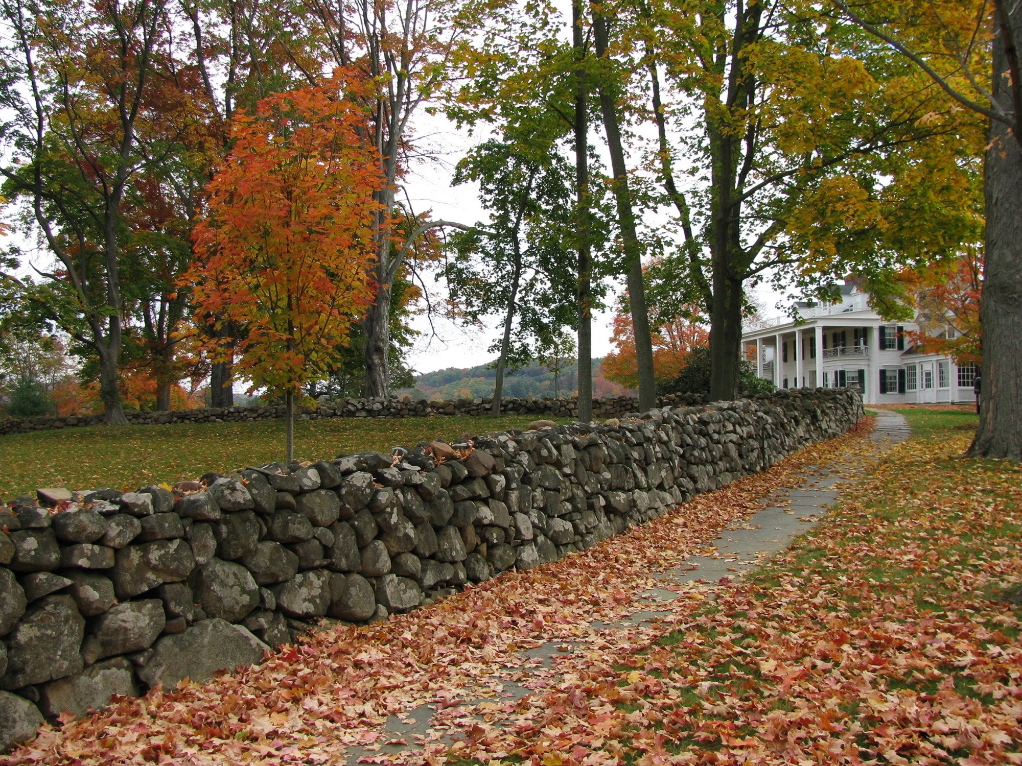 Hillstead Museum 4_Richter Cegan.jpg