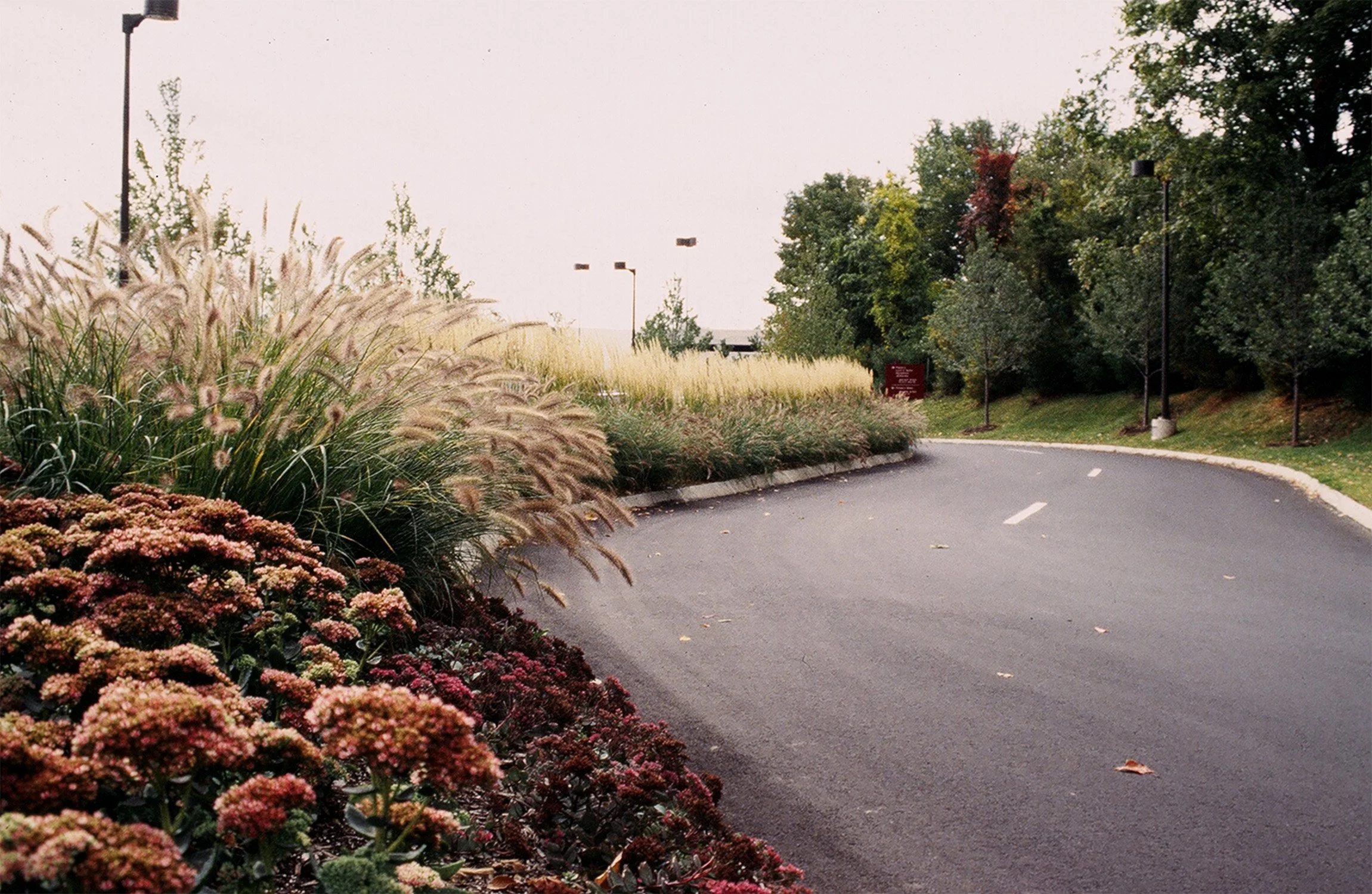Westfarms 4_Richter Cegan.jpg