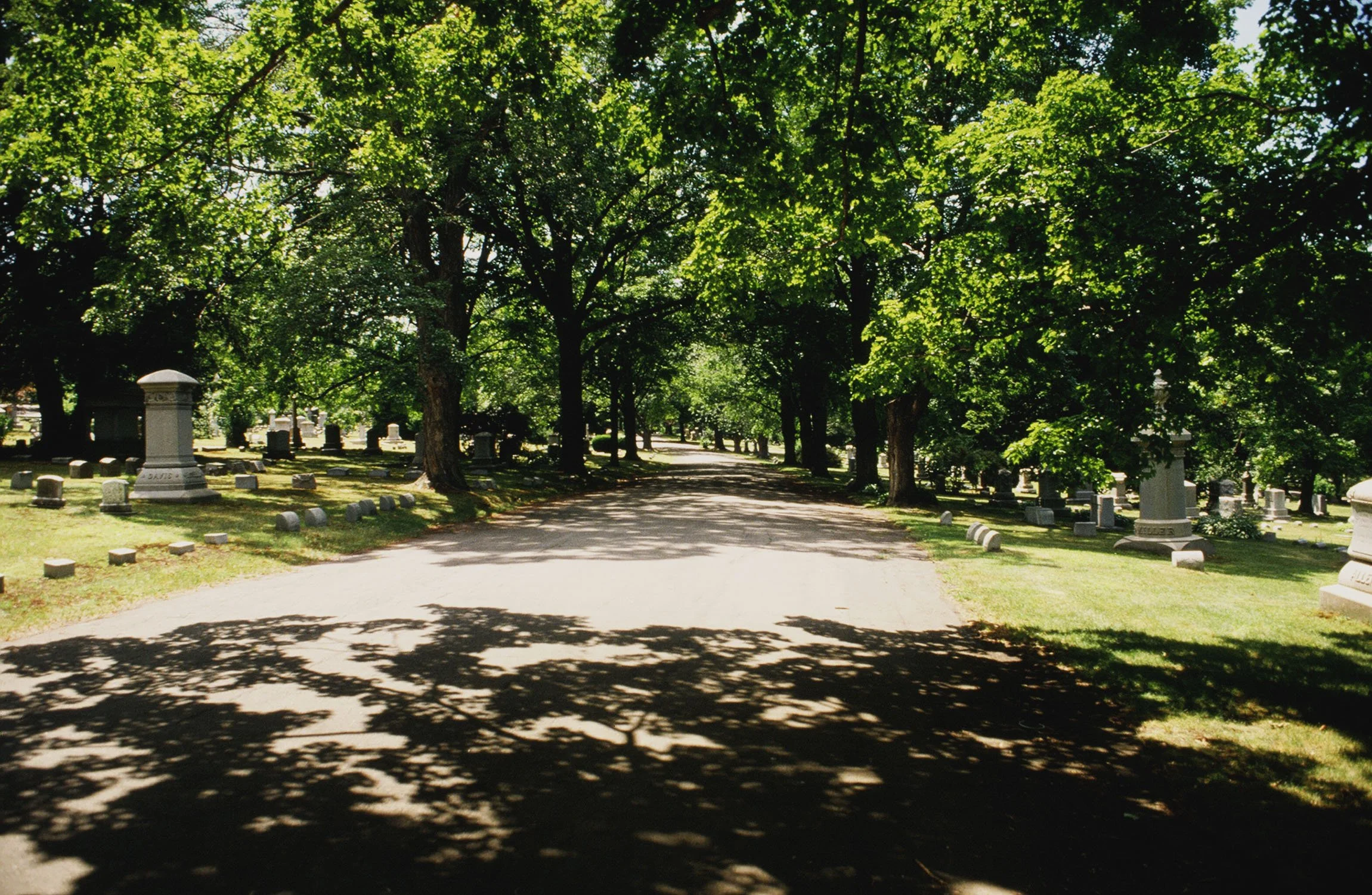 Cedar Hill Cemetery 5_Richter Cegan.jpg