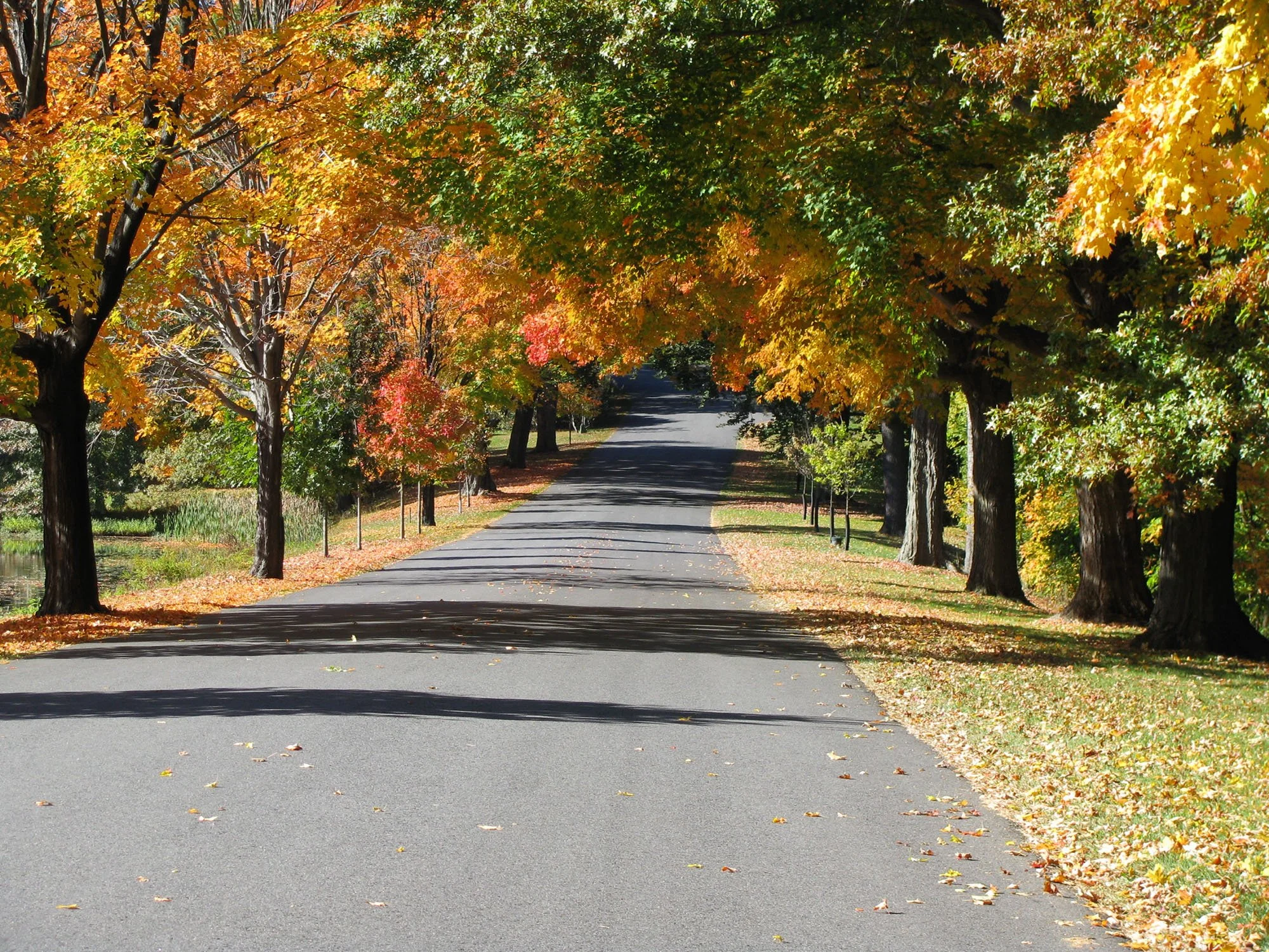 Cedar Hill Cemetery 3_Richter Cegan.jpg