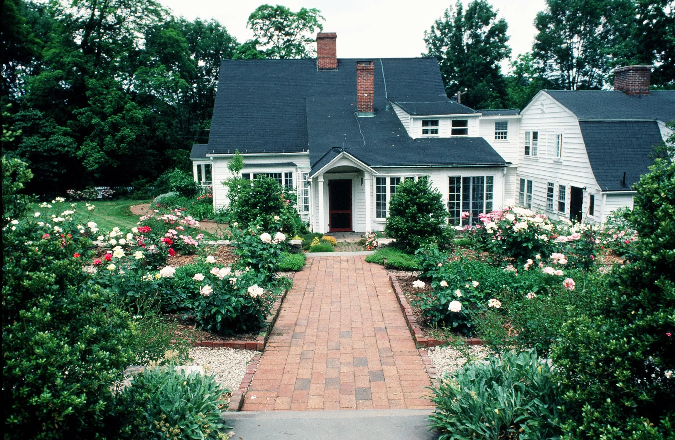Bloom Garden 7_Richter Cegan.jpg