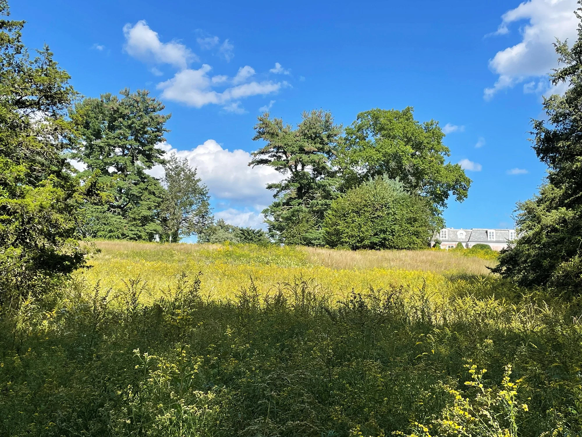 Irwin Park Master Plan 3_Richter Cegan.jpg