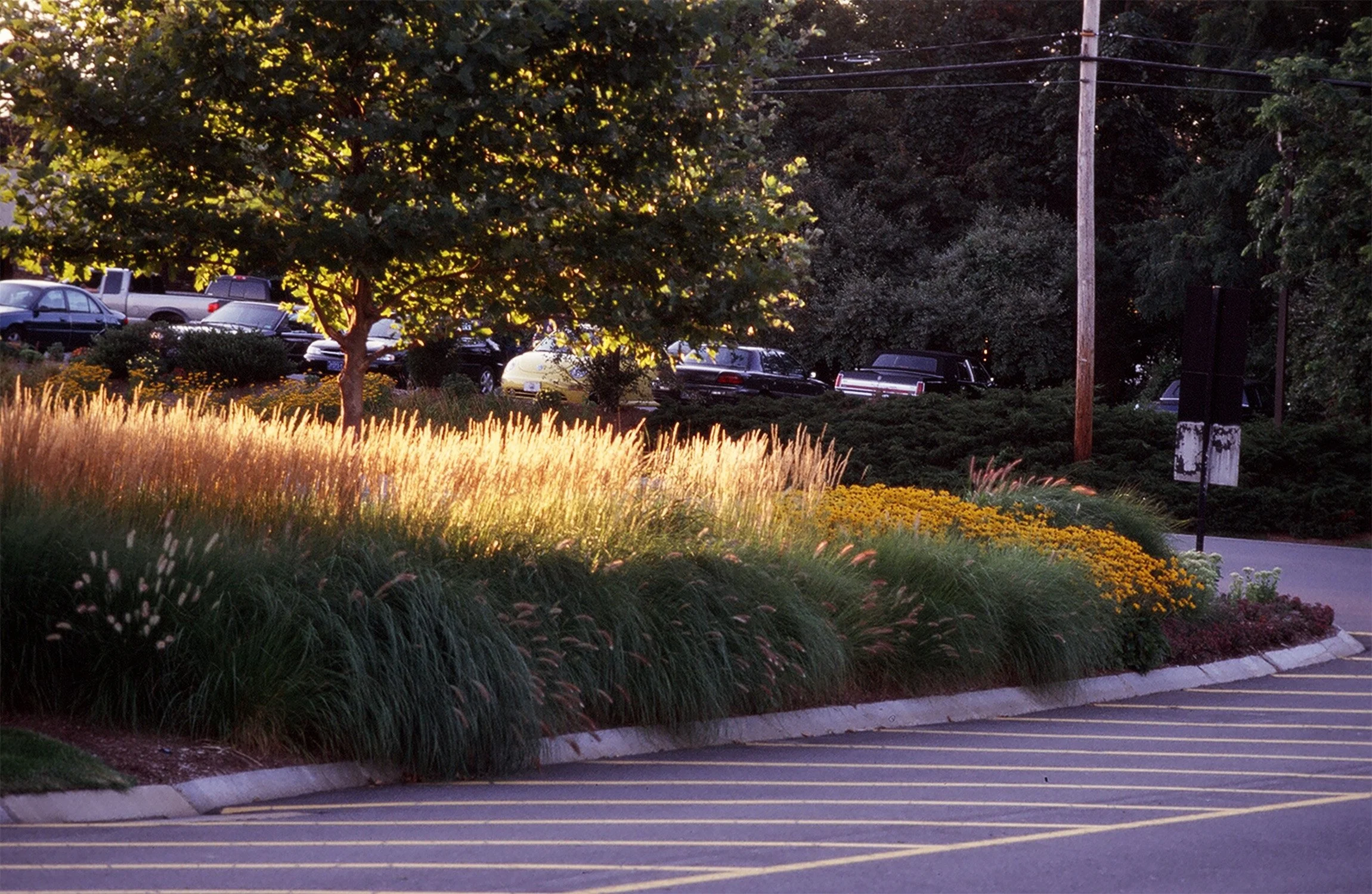 Westfarms 3_Richter Cegan.jpg