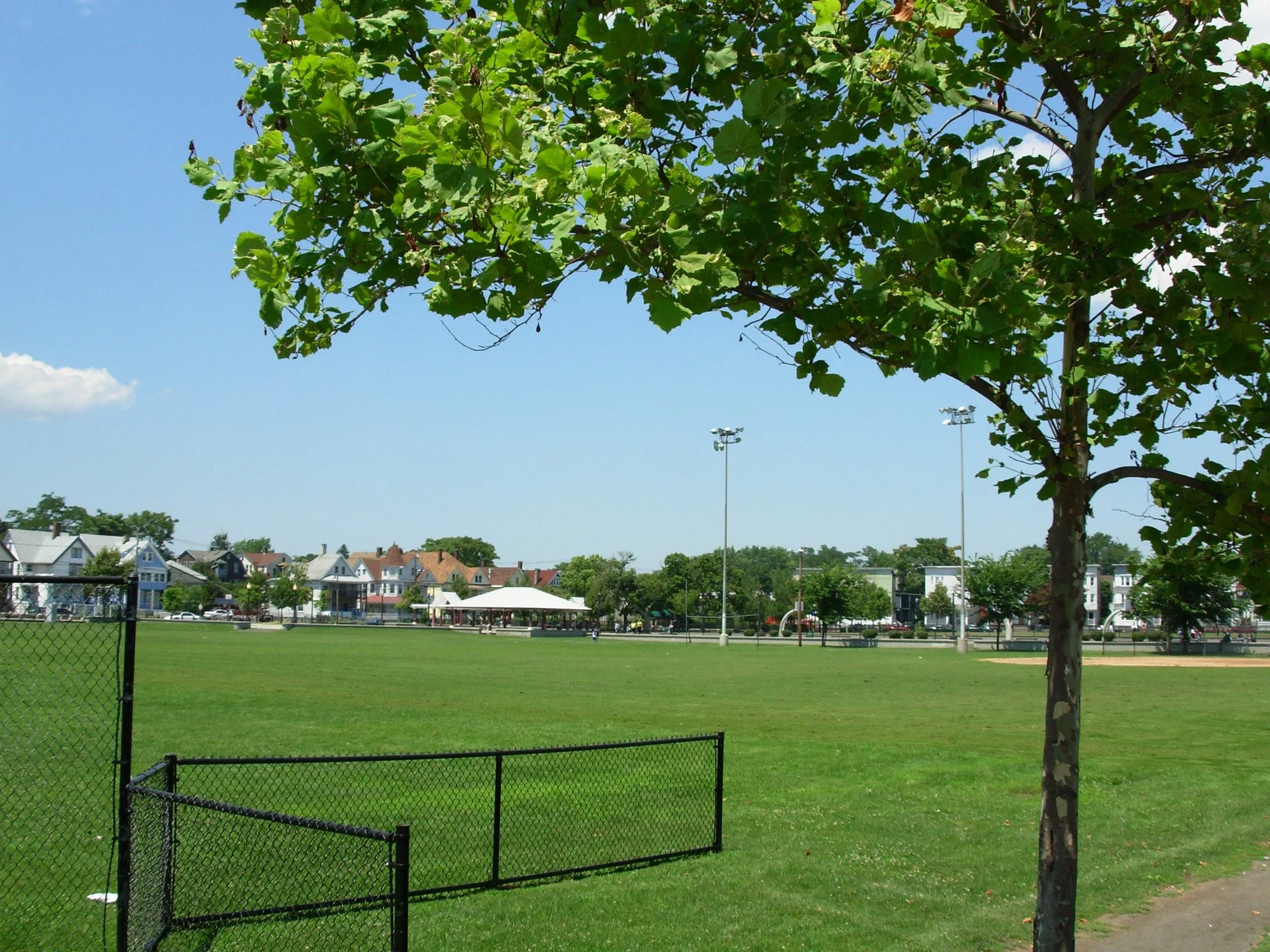 Went Field Park 7_Richter Cegan.jpg