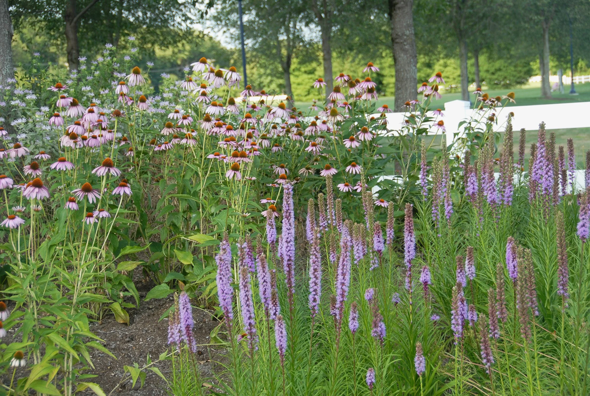 Glastonbury Riverfront Park 11_Richter Cegan.jpg